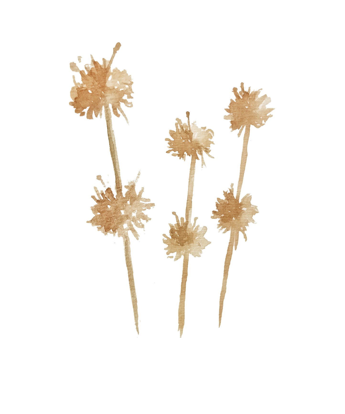 3er Poserset zum herunterladen - Trockenblumendesign