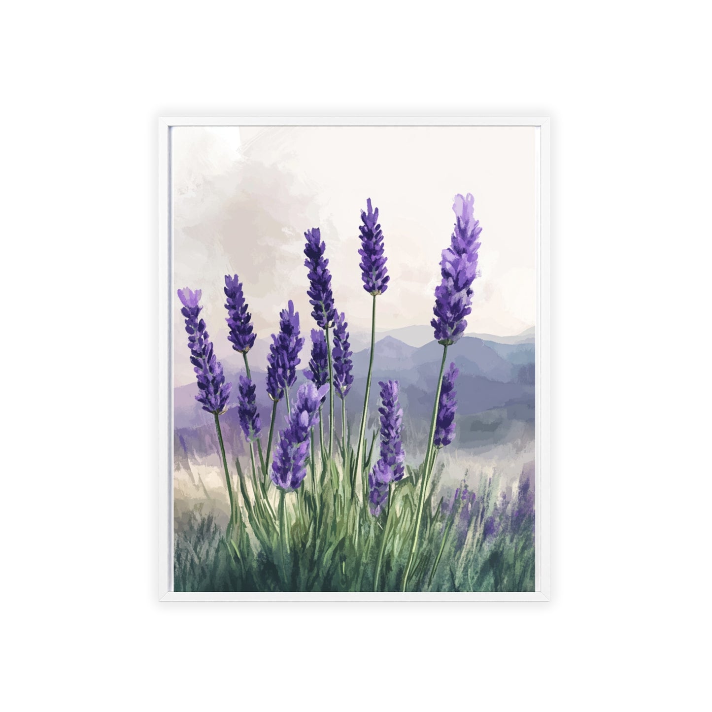 Lavendelblüten in der Wiese