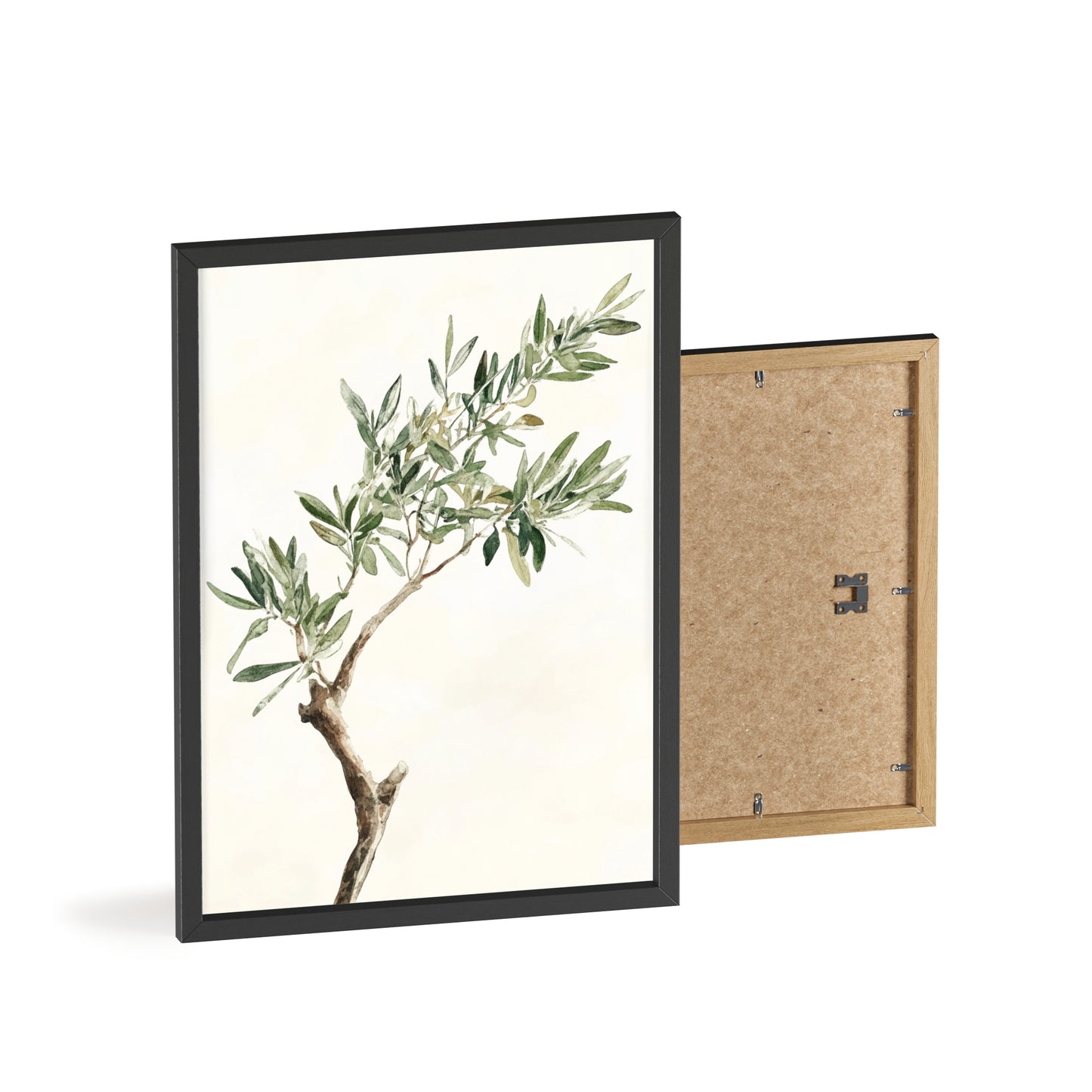 Schlichter Olivenzweig