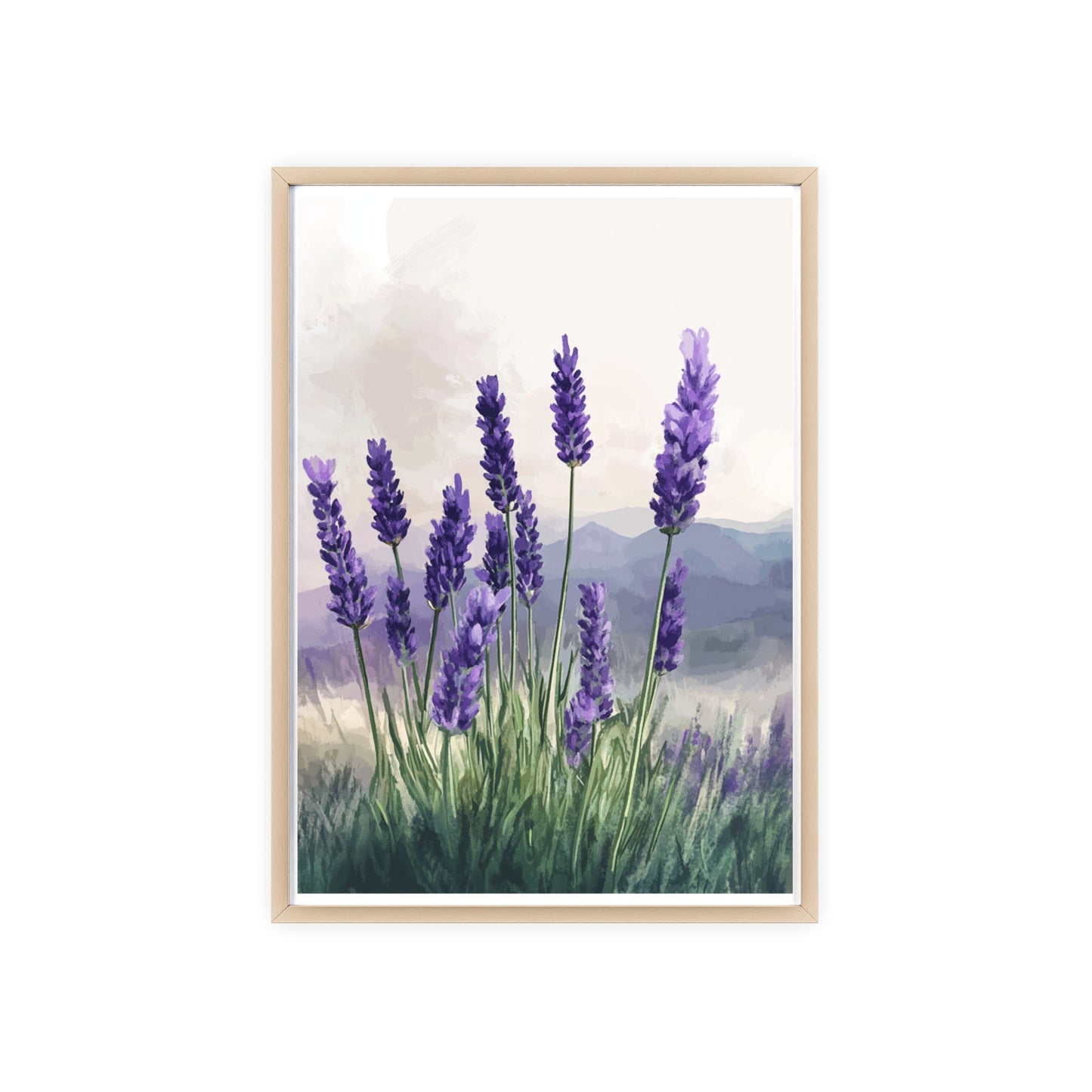 Lavendelblüten in der Wiese