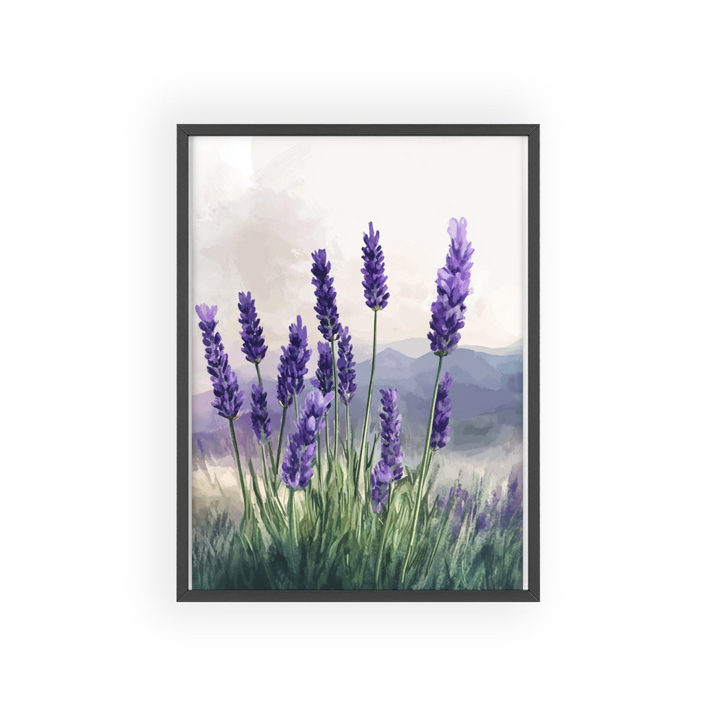 Lavendelblüten in der Wiese