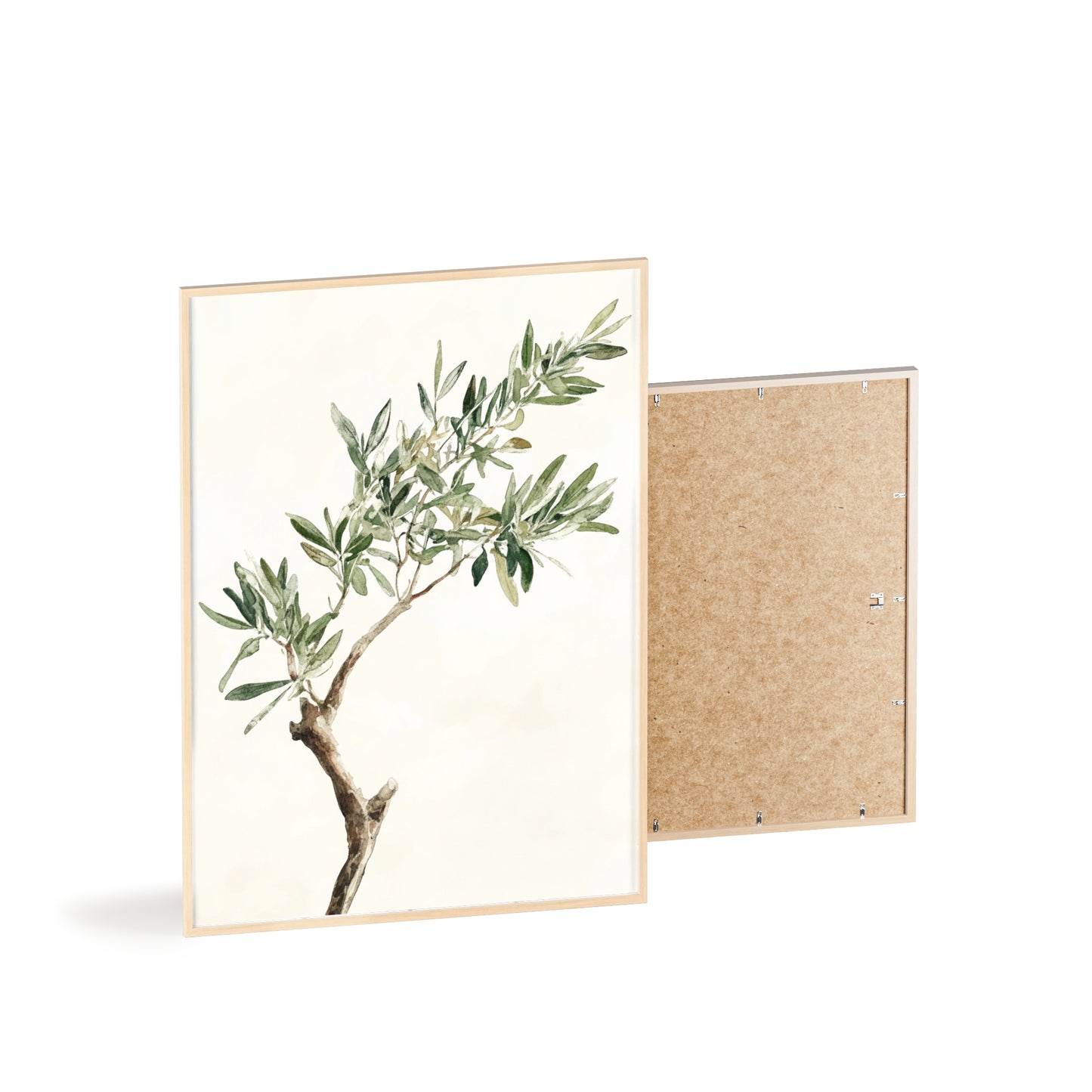 Schlichter Olivenzweig