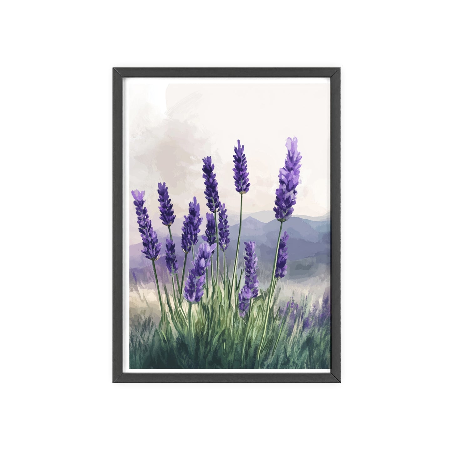 Lavendelblüten in der Wiese