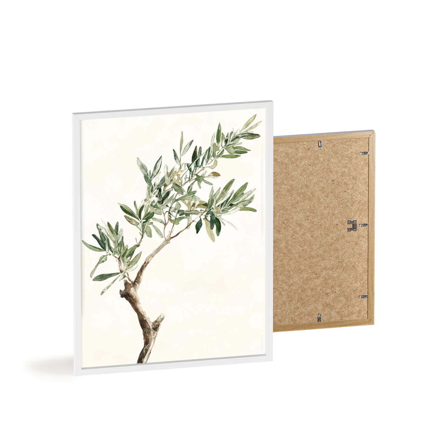 Schlichter Olivenzweig