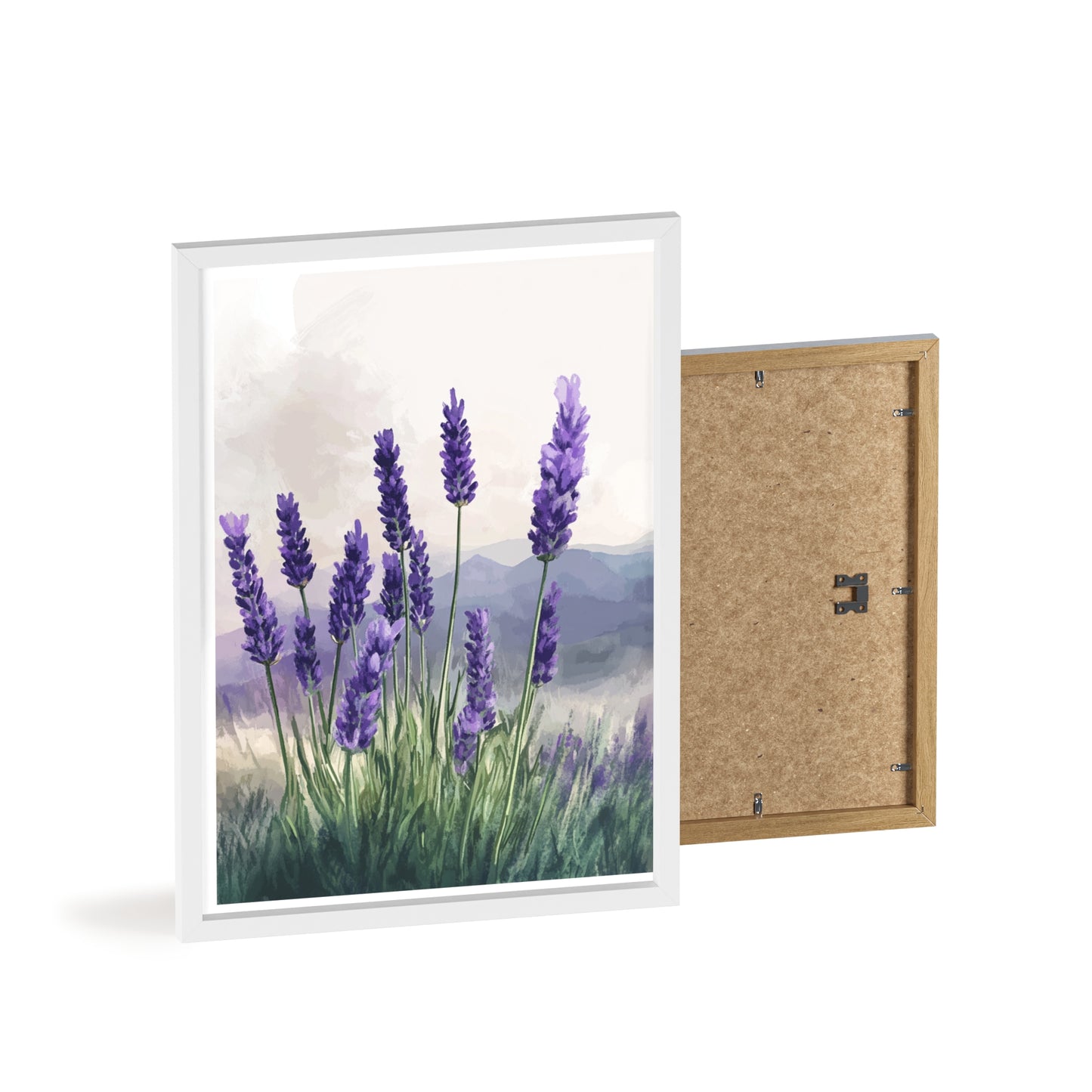 Lavendelblüten in der Wiese