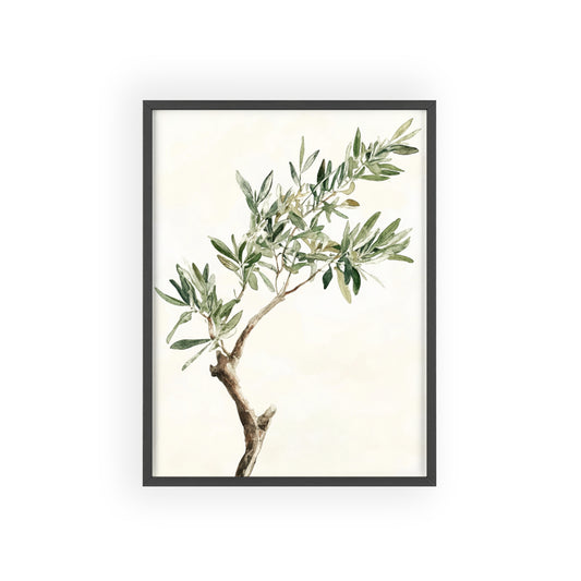 Schlichter Olivenzweig