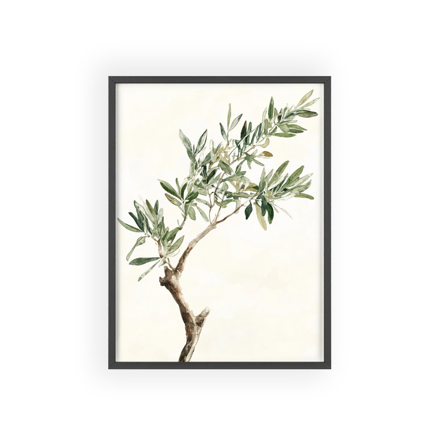 Schlichter Olivenzweig