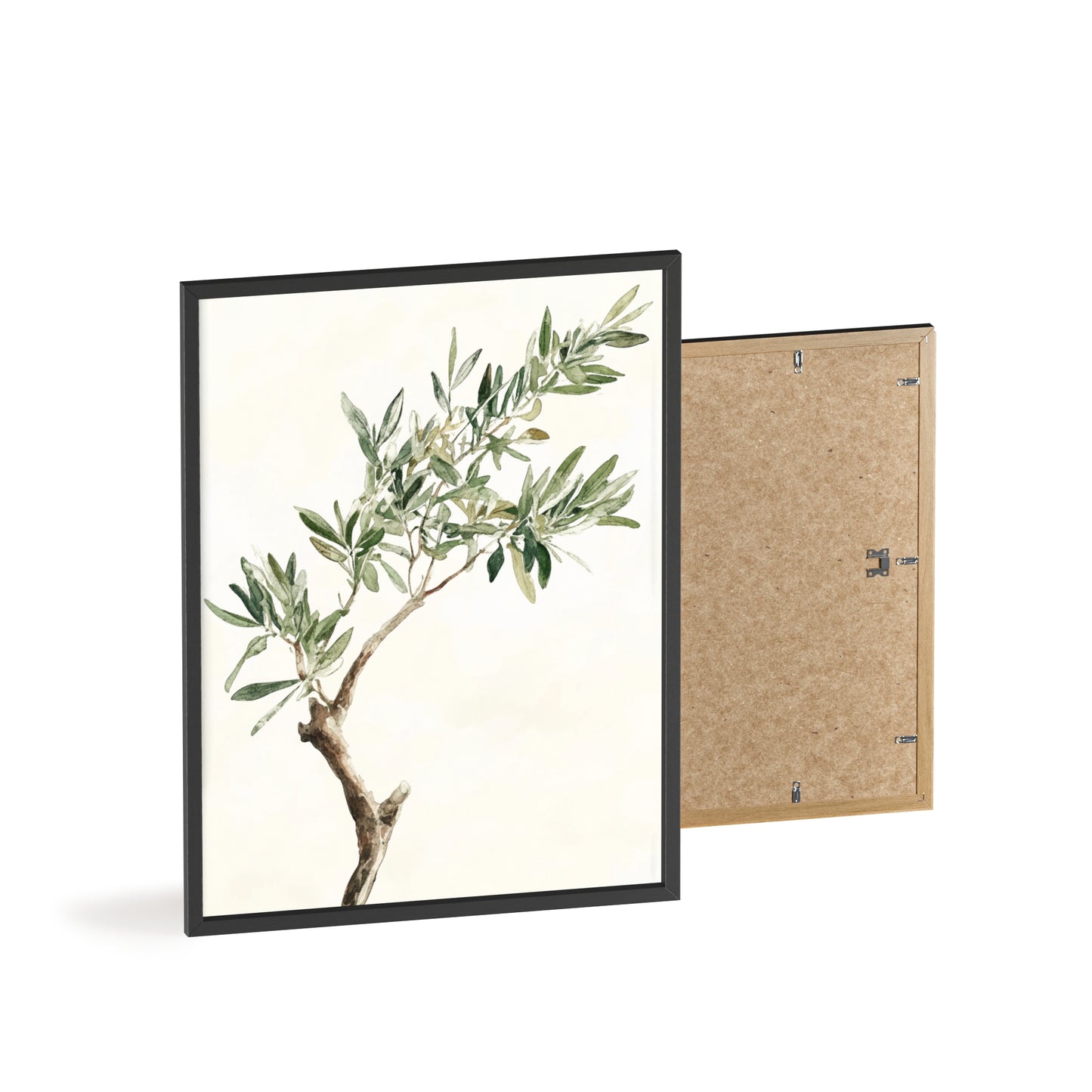 Schlichter Olivenzweig