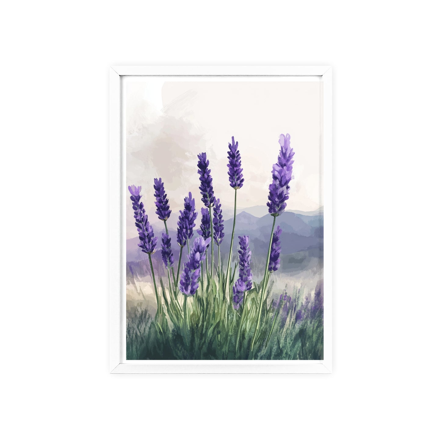 Lavendelblüten in der Wiese