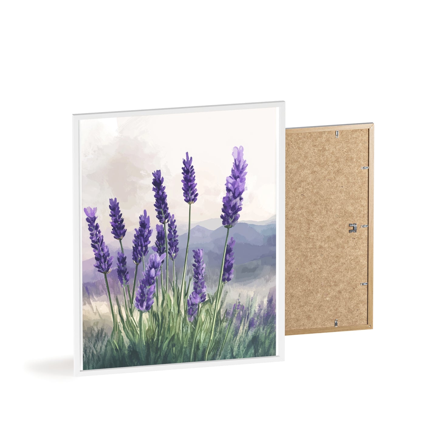 Lavendelblüten in der Wiese