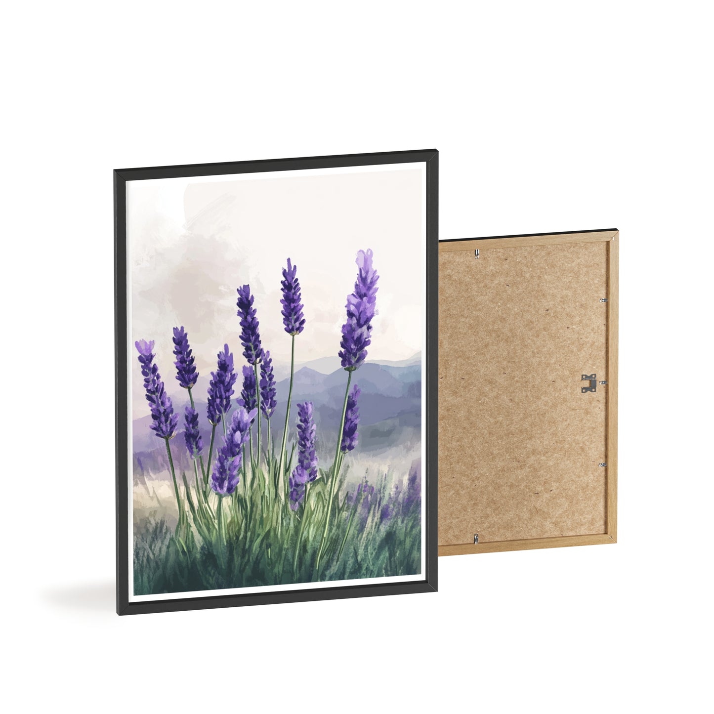 Lavendelblüten in der Wiese