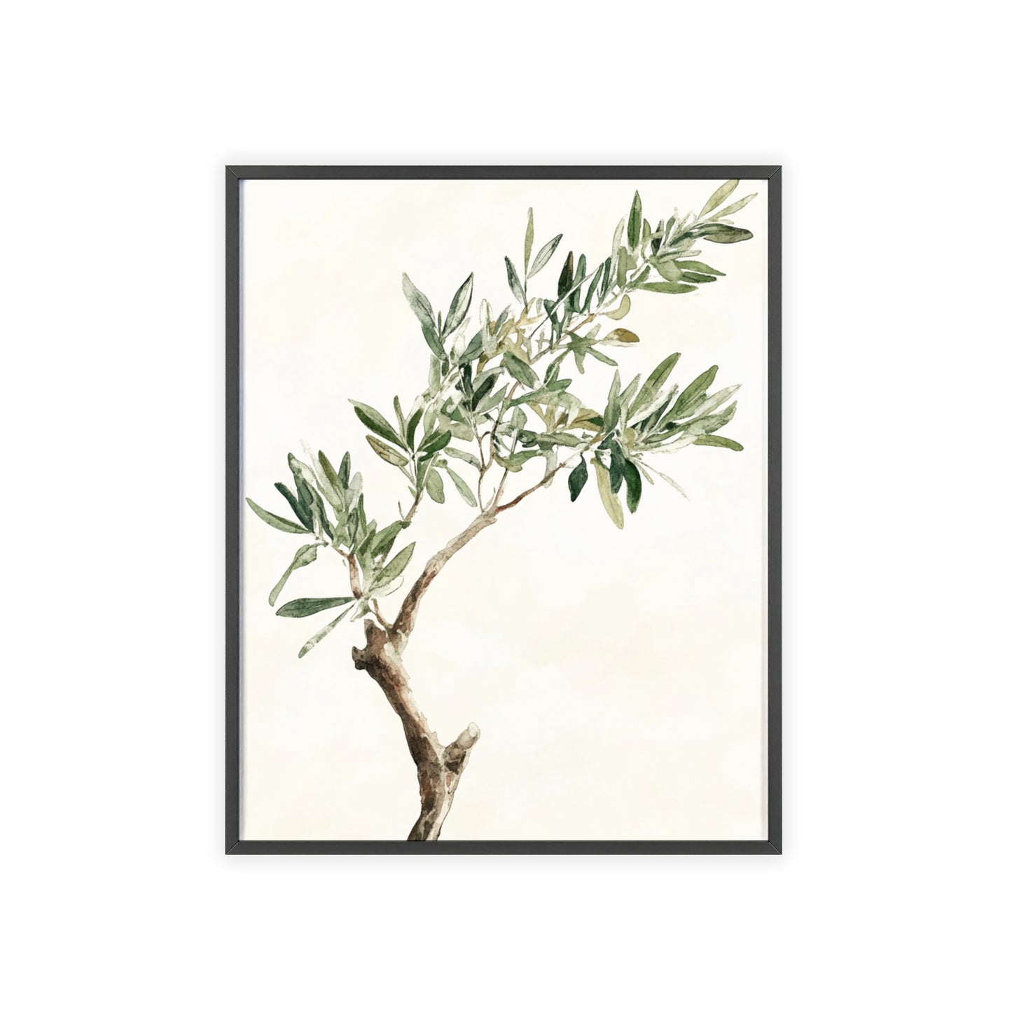 Schlichter Olivenzweig