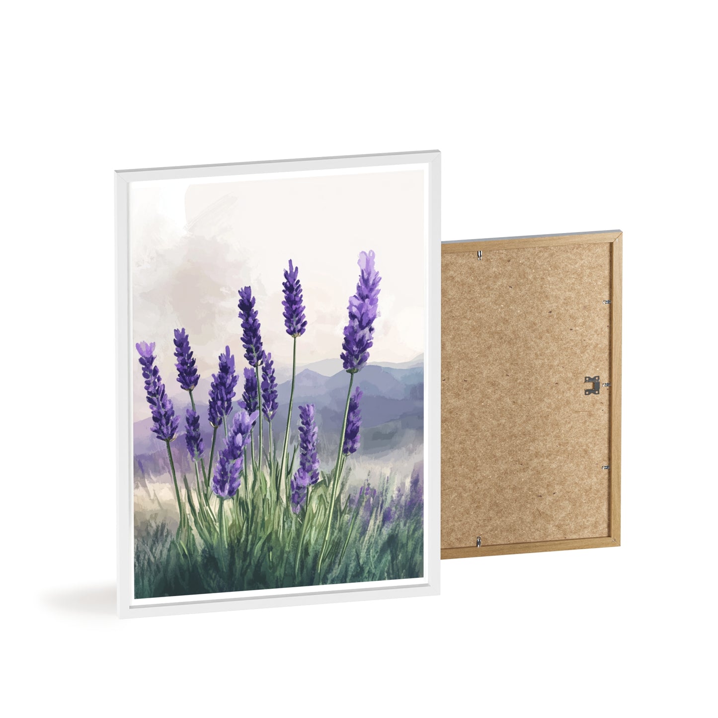 Lavendelblüten in der Wiese