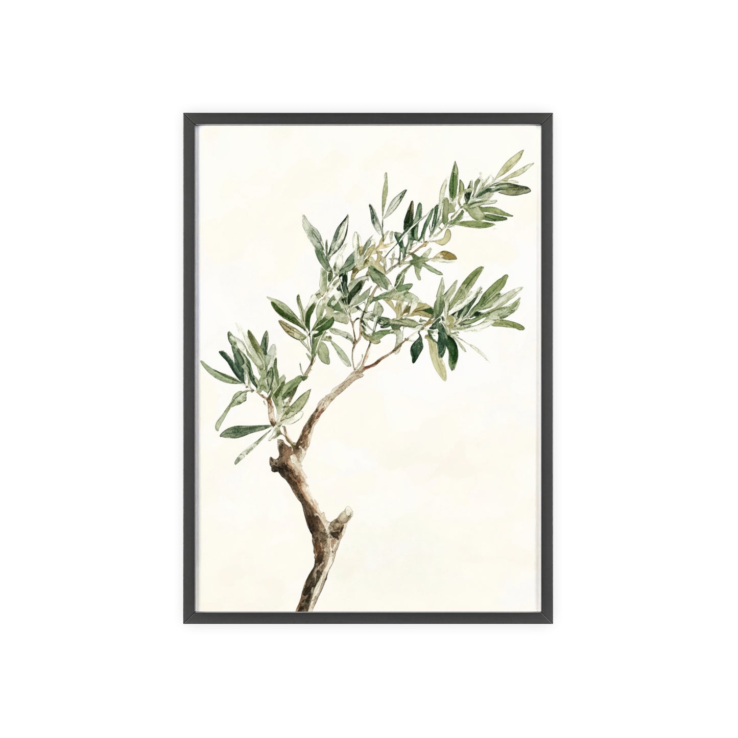 Schlichter Olivenzweig