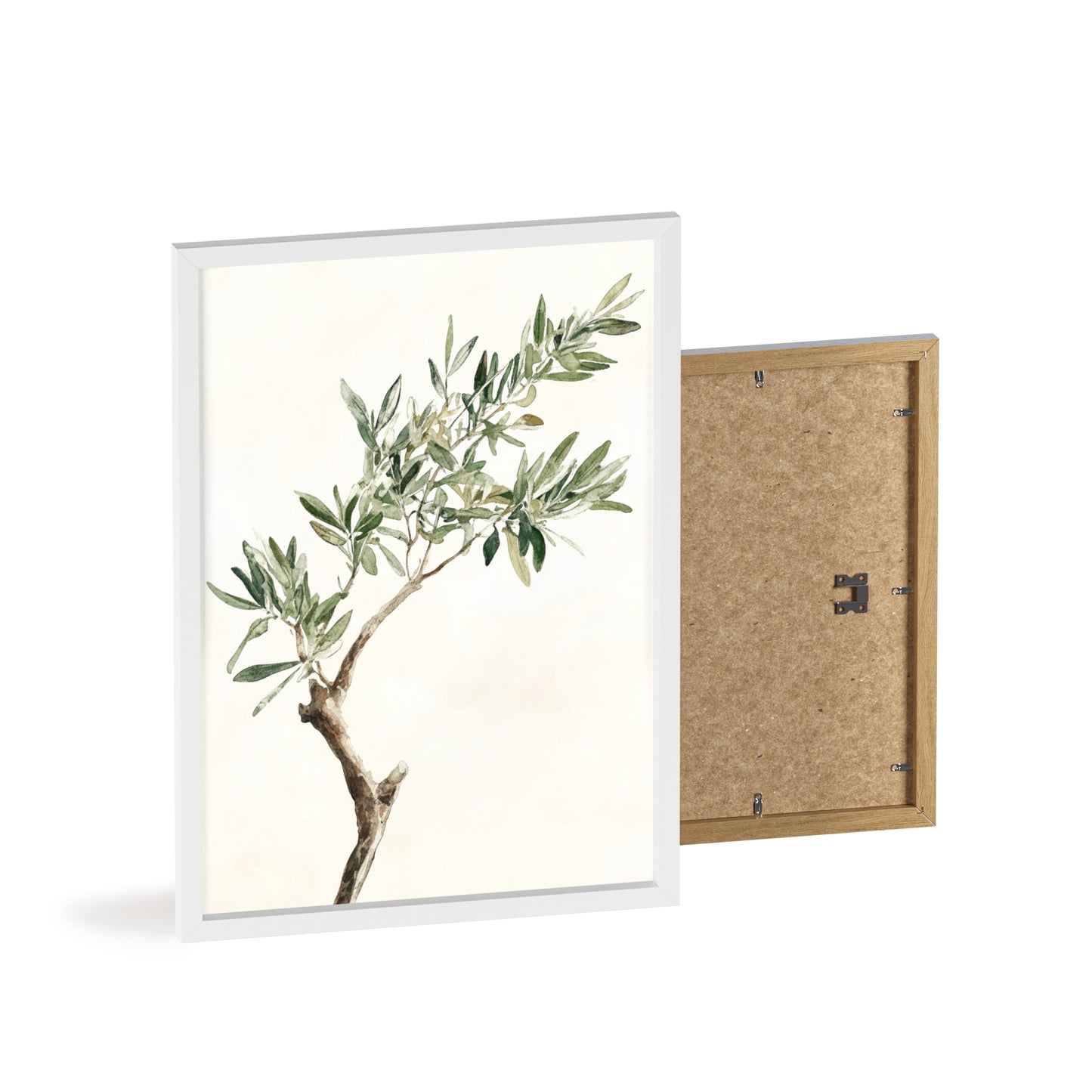 Schlichter Olivenzweig