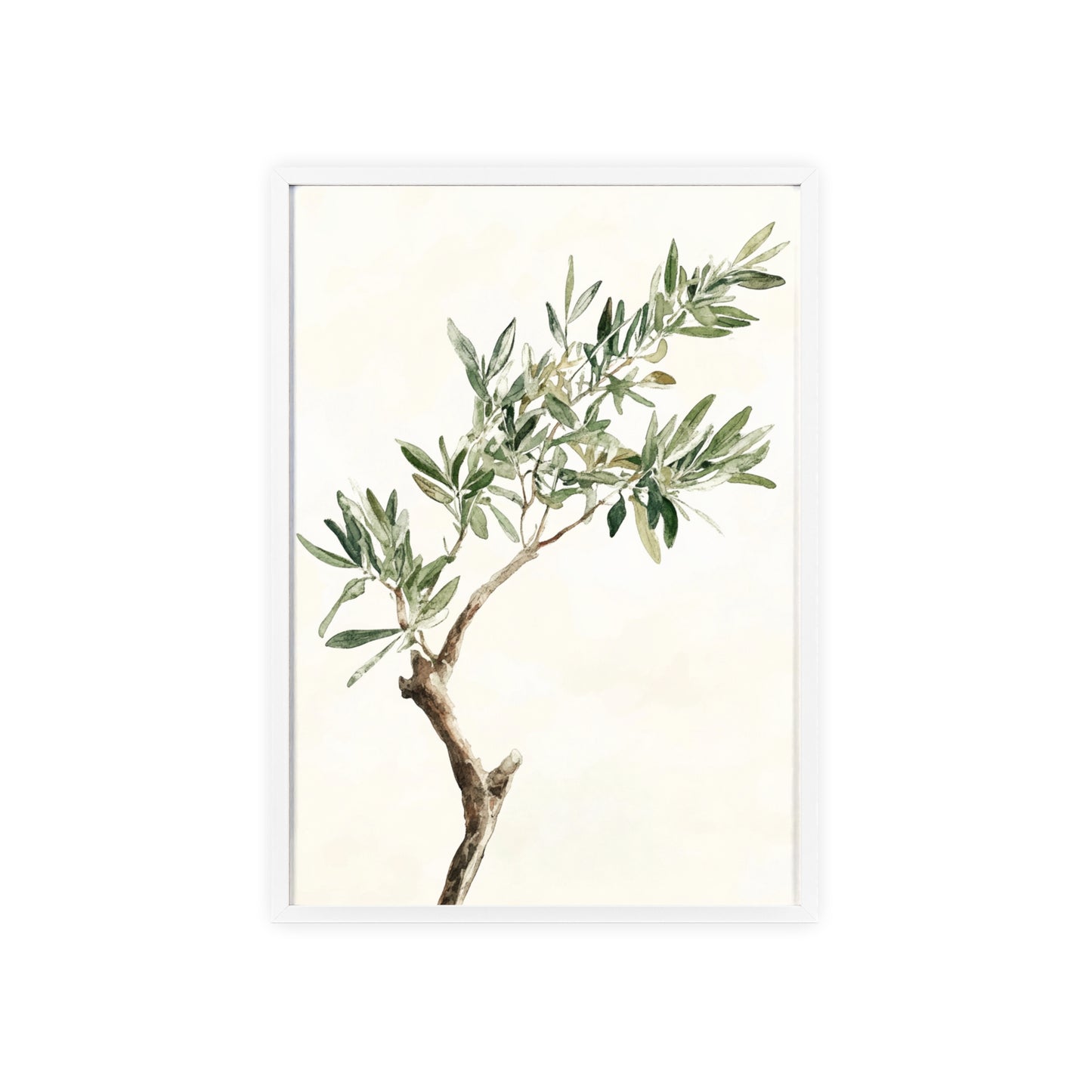 Schlichter Olivenzweig