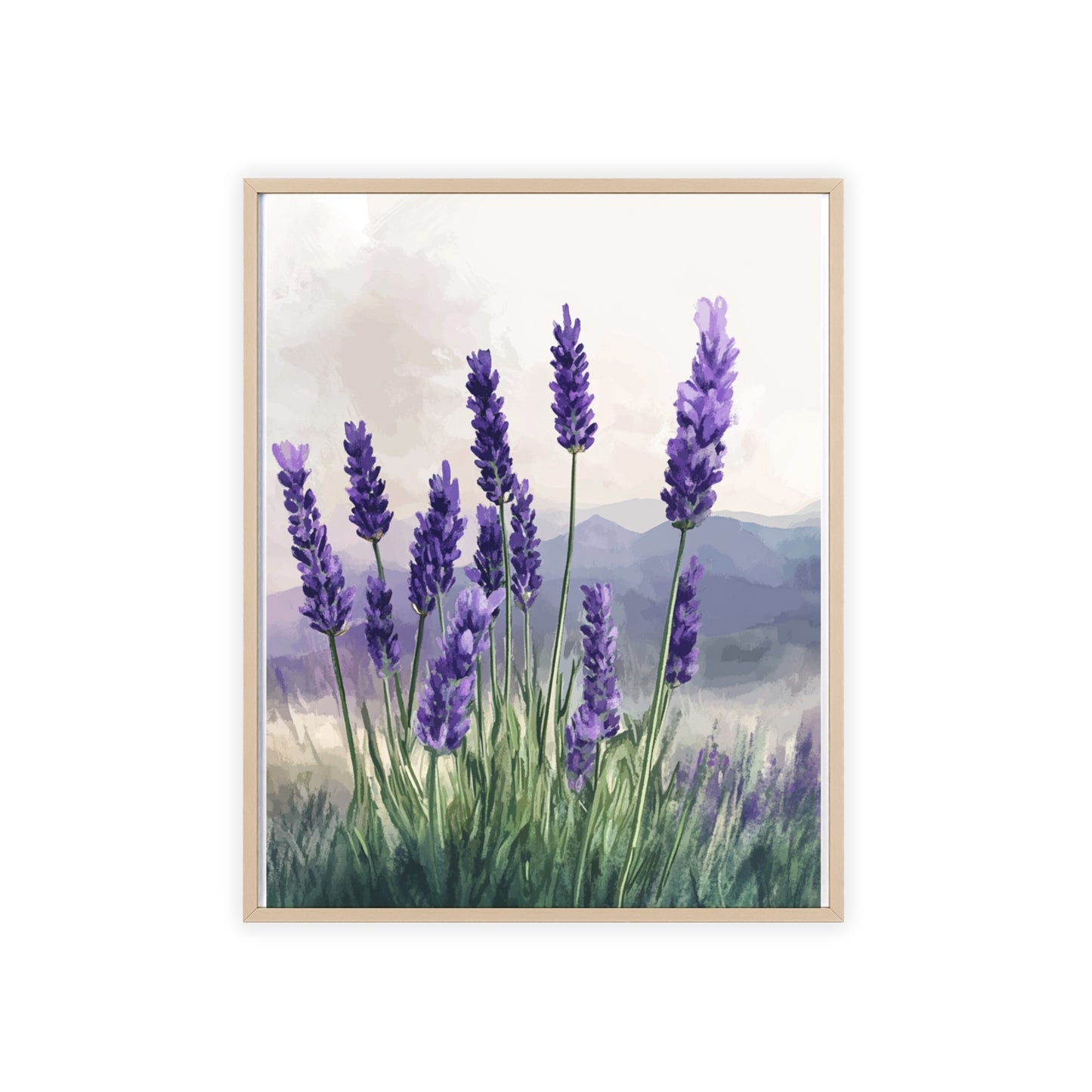 Lavendelblüten in der Wiese