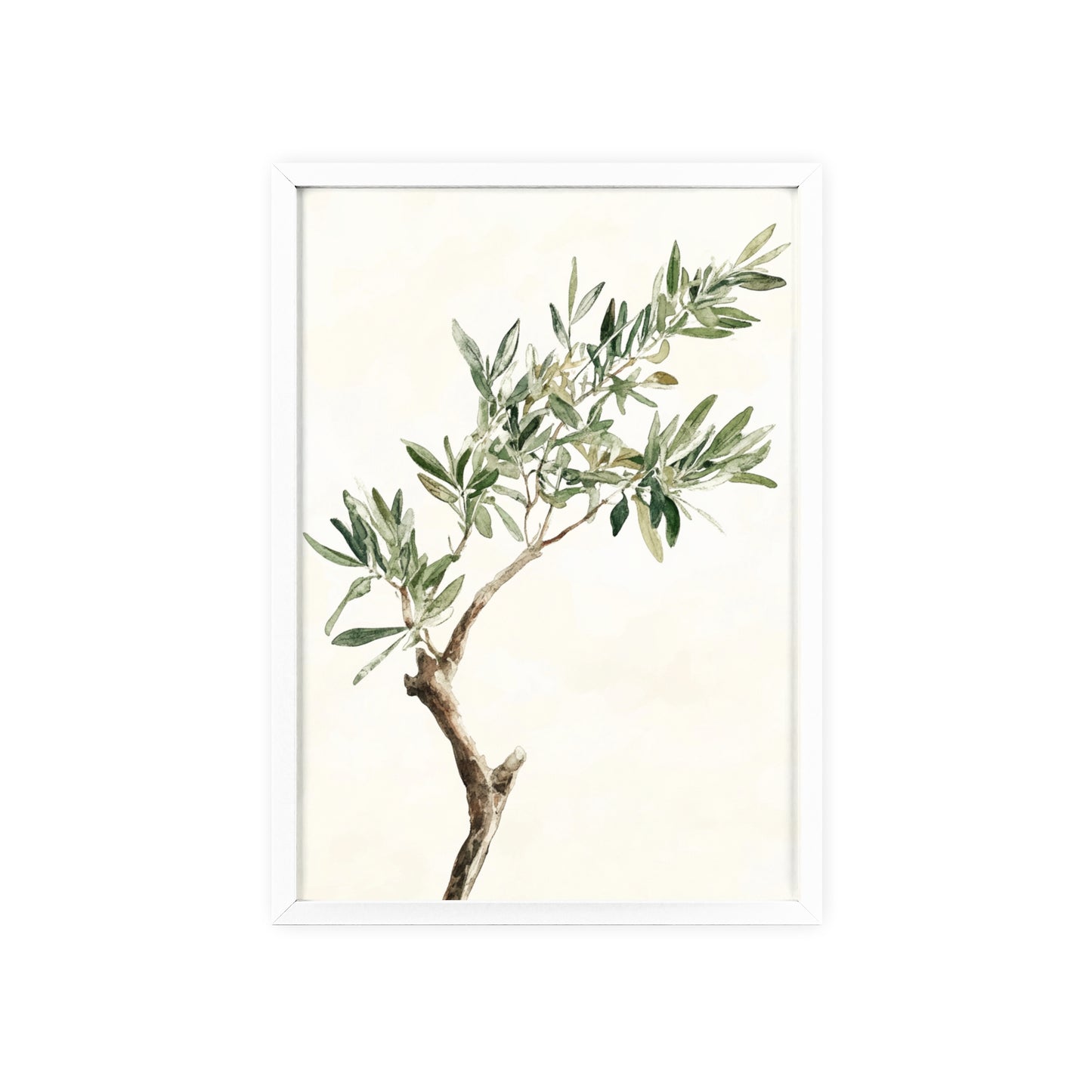 Schlichter Olivenzweig