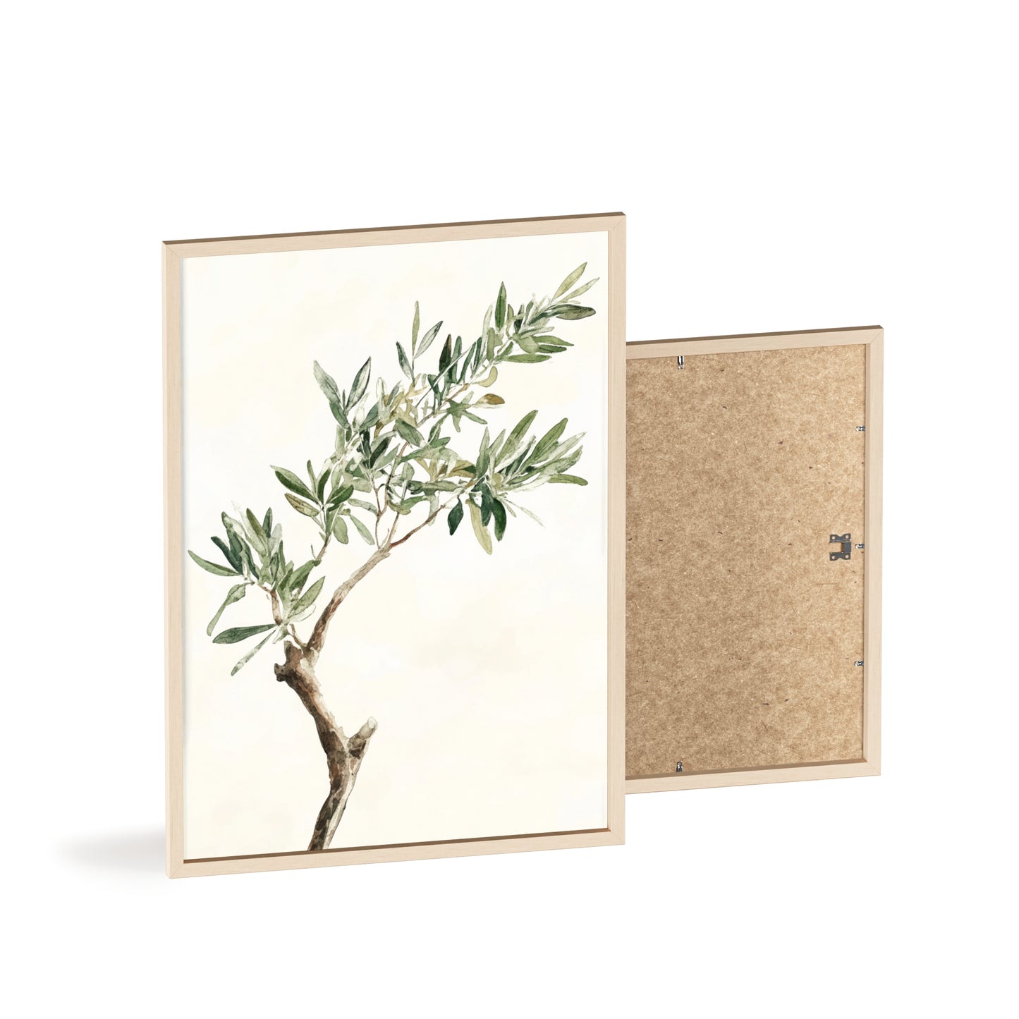 Schlichter Olivenzweig