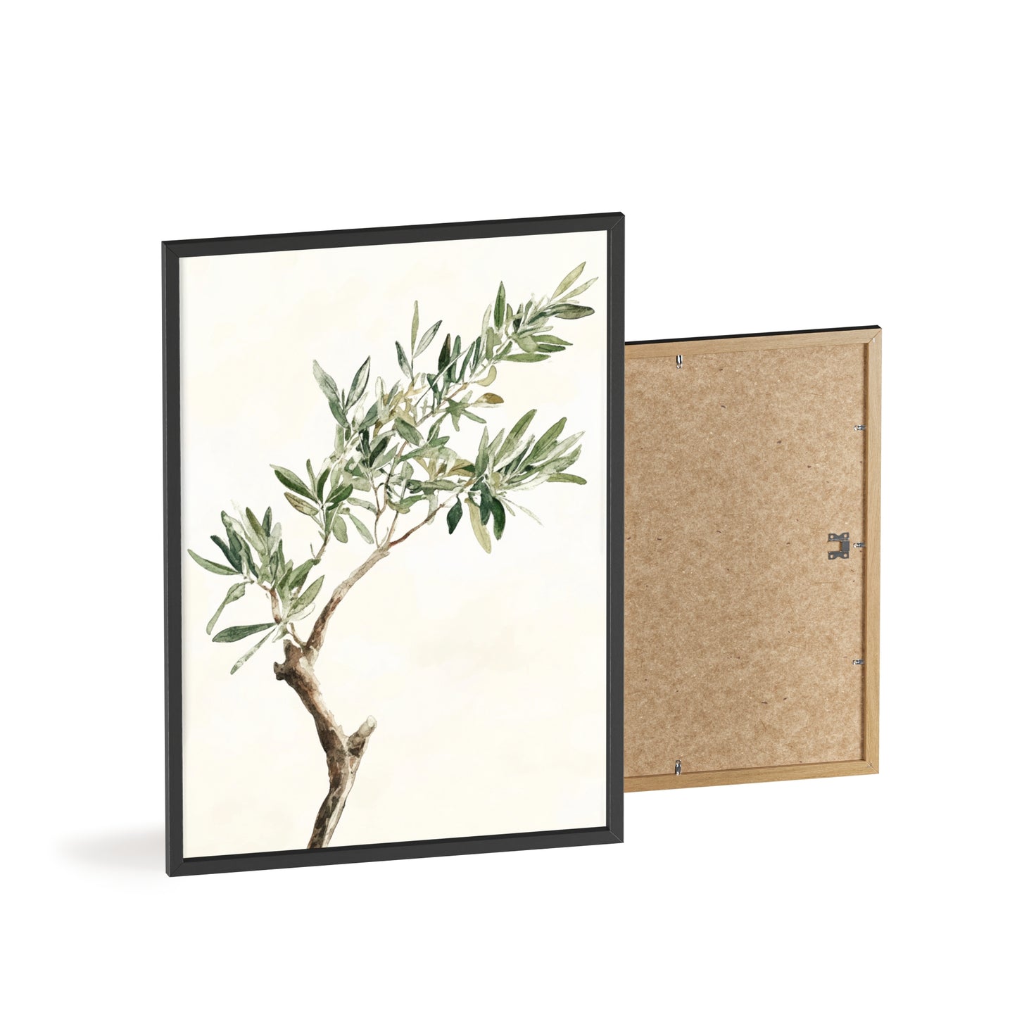 Schlichter Olivenzweig