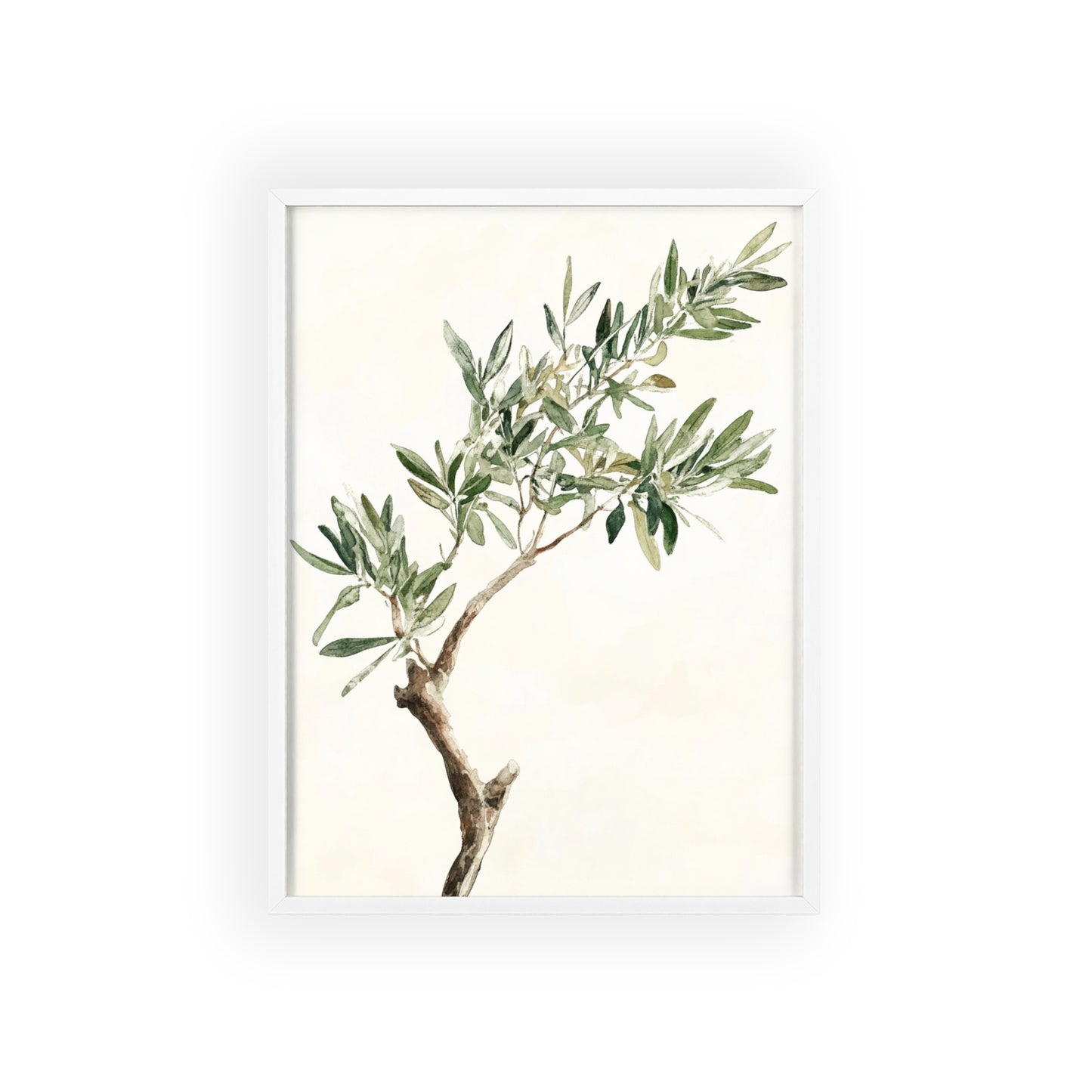 Schlichter Olivenzweig