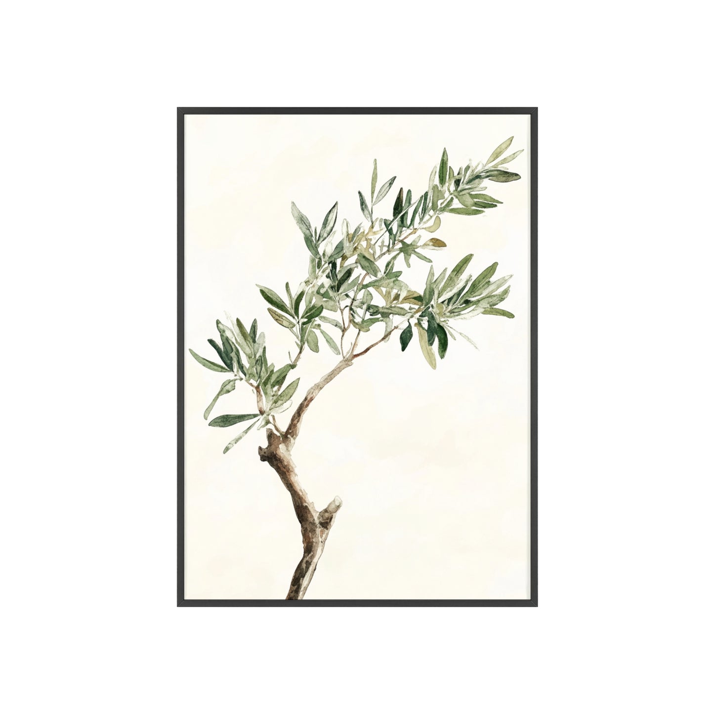 Schlichter Olivenzweig