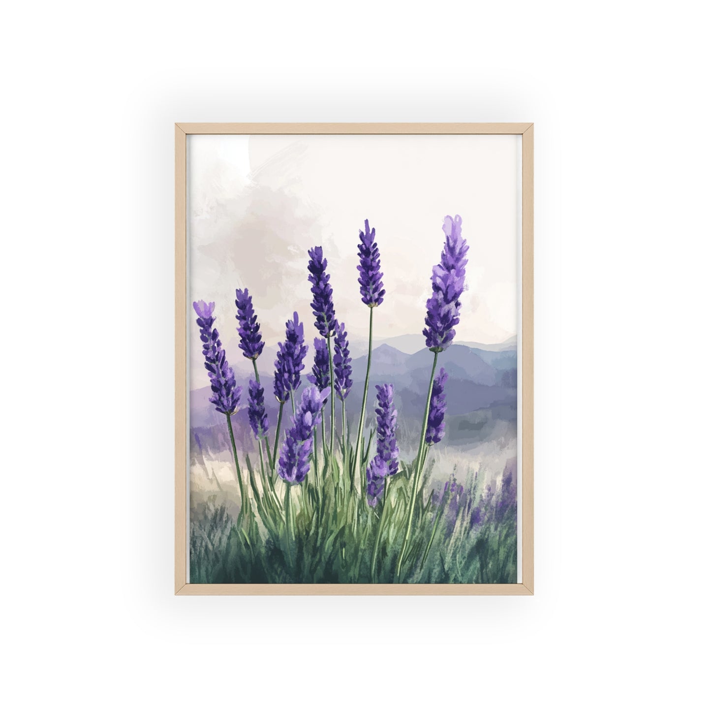 Lavendelblüten in der Wiese