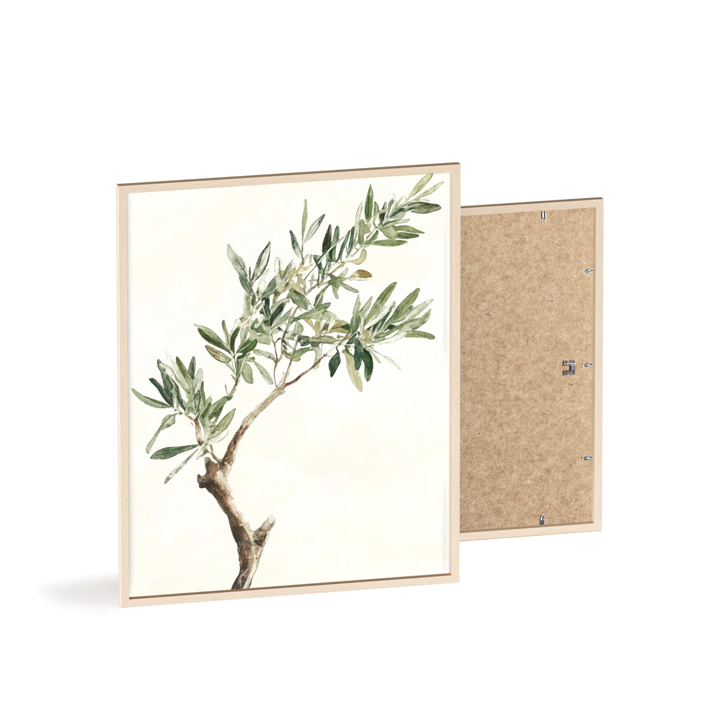 Schlichter Olivenzweig