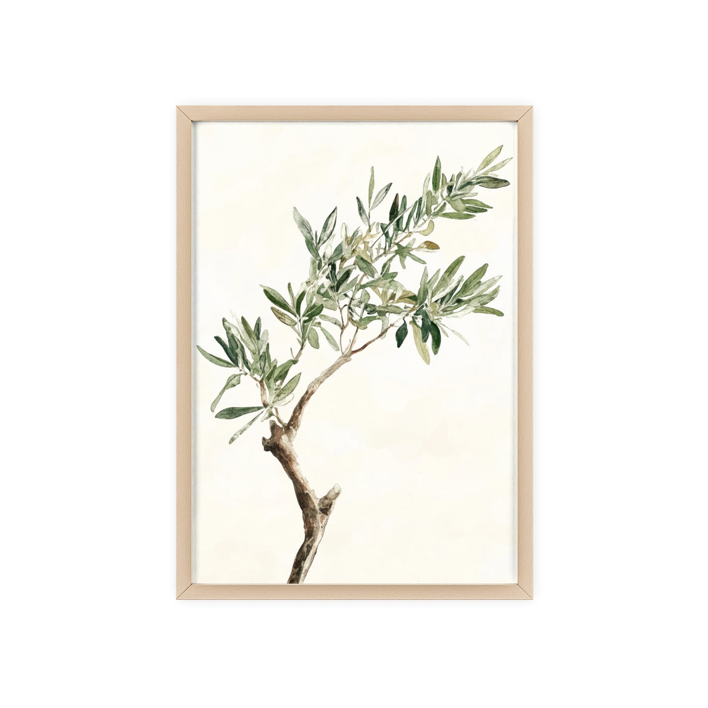 Schlichter Olivenzweig