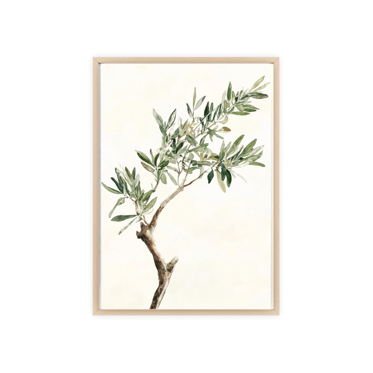 Schlichter Olivenzweig