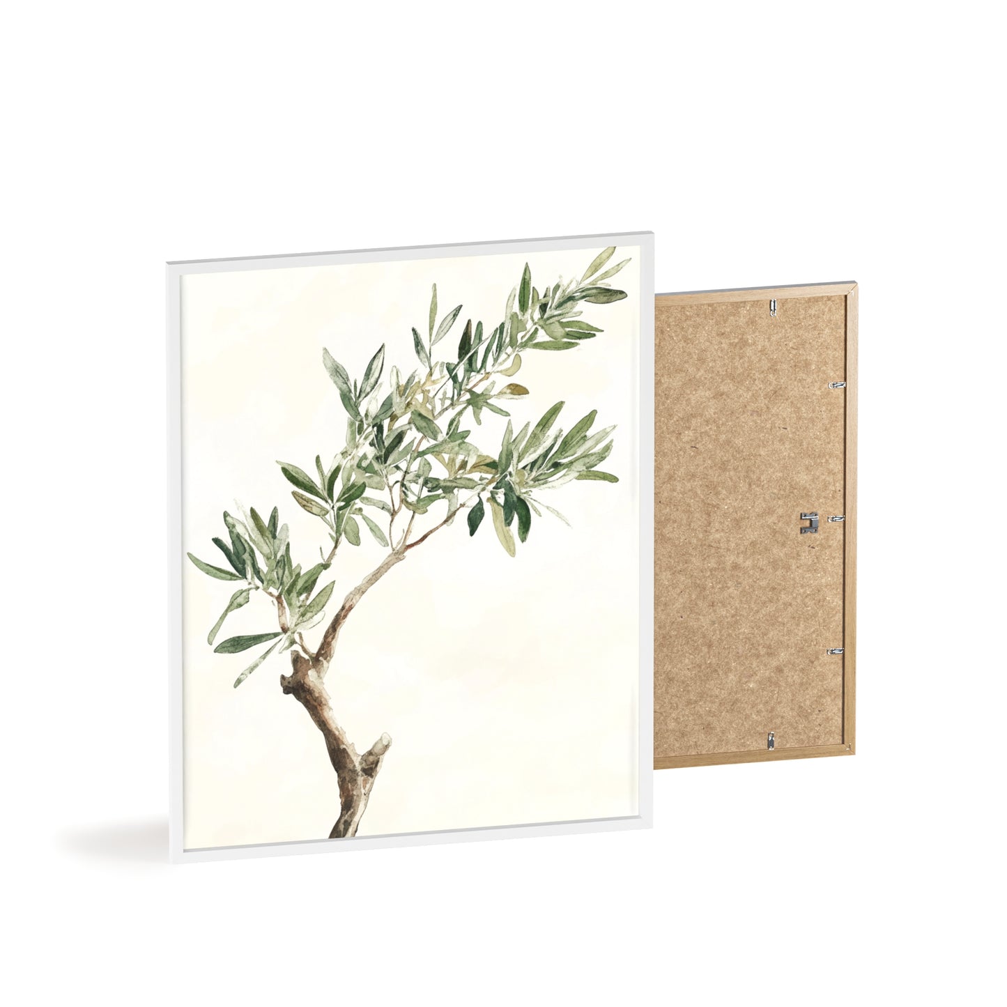 Schlichter Olivenzweig