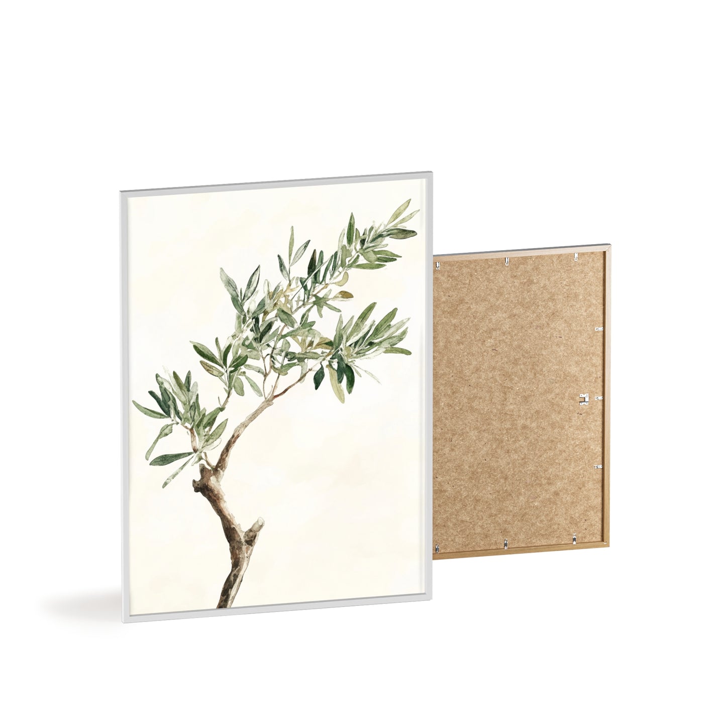 Schlichter Olivenzweig