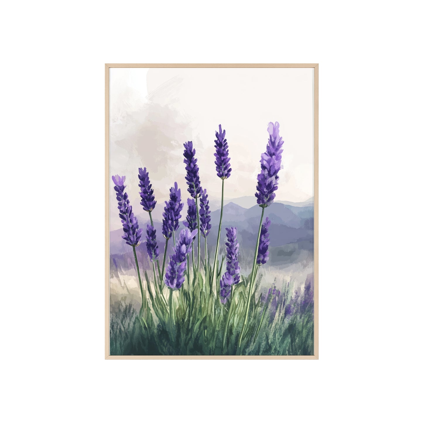 Lavendelblüten in der Wiese