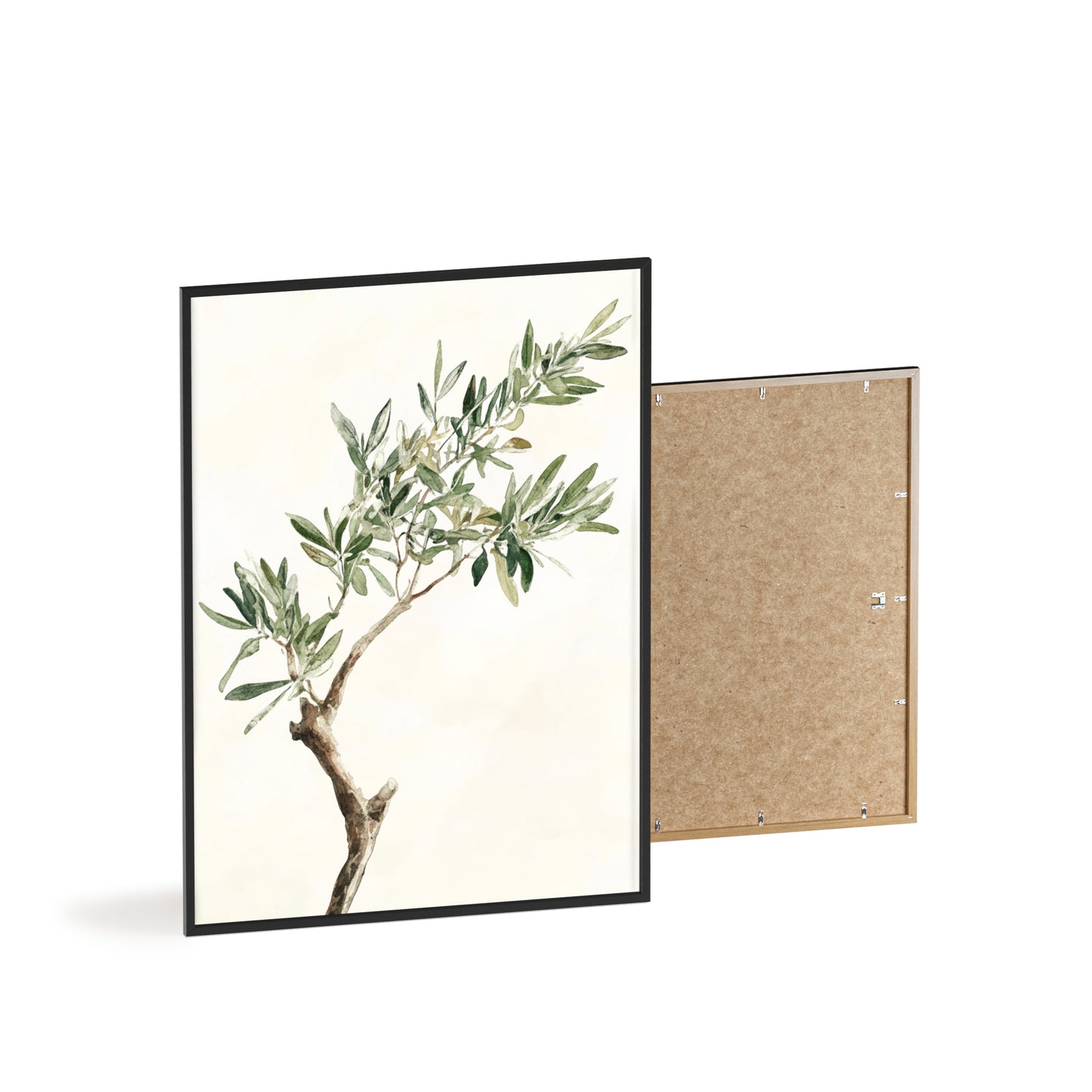 Schlichter Olivenzweig