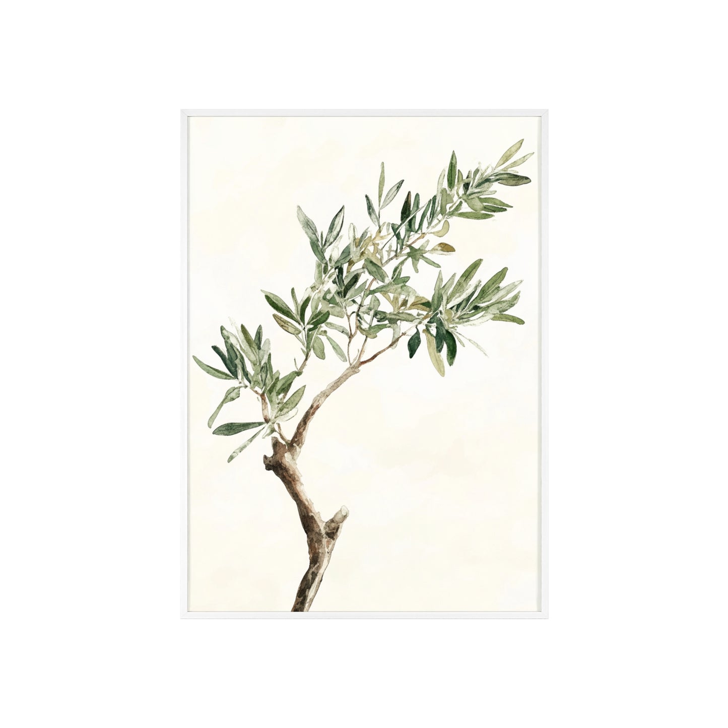 Schlichter Olivenzweig