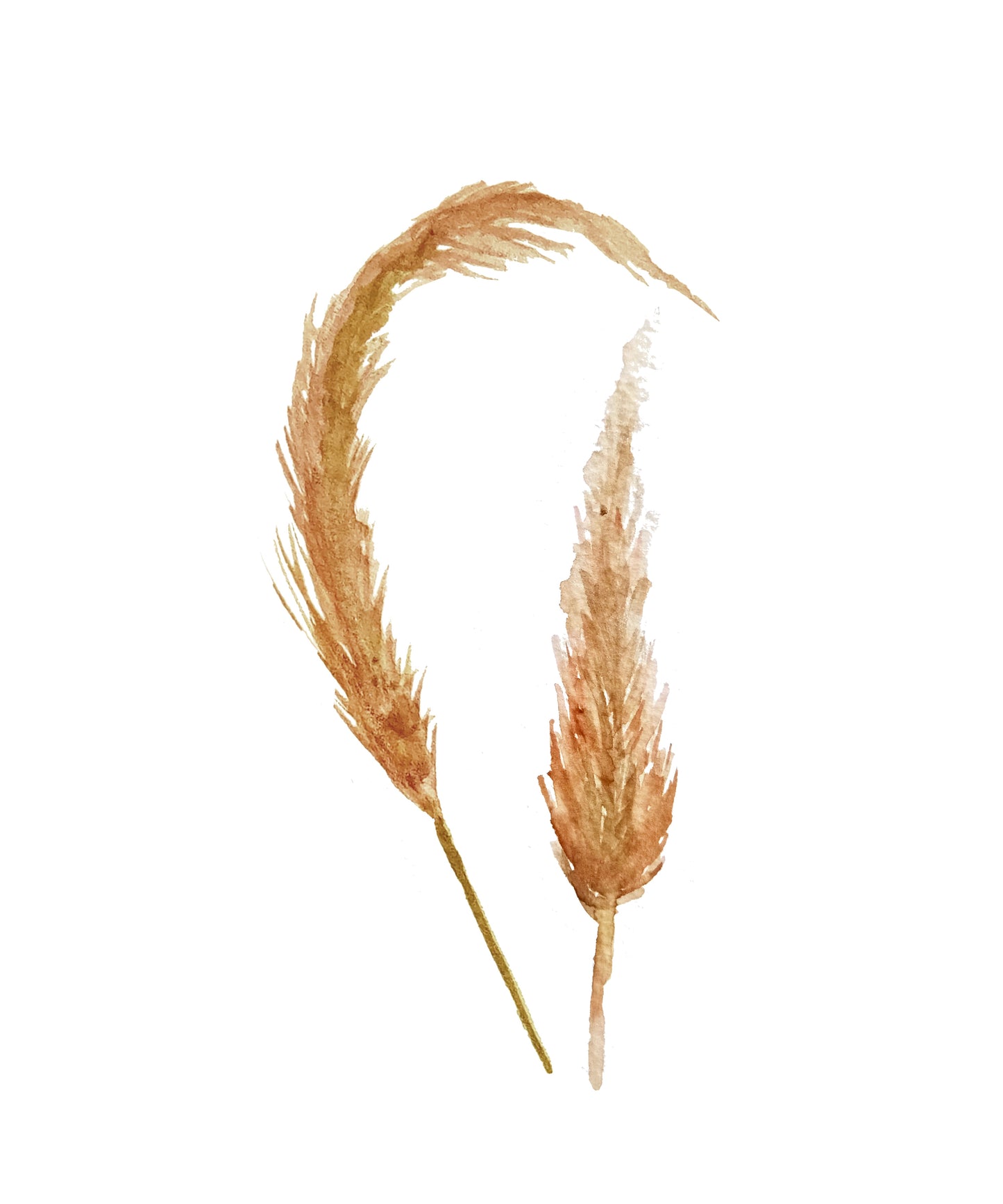 3er Poserset zum herunterladen - Trockenblumendesign