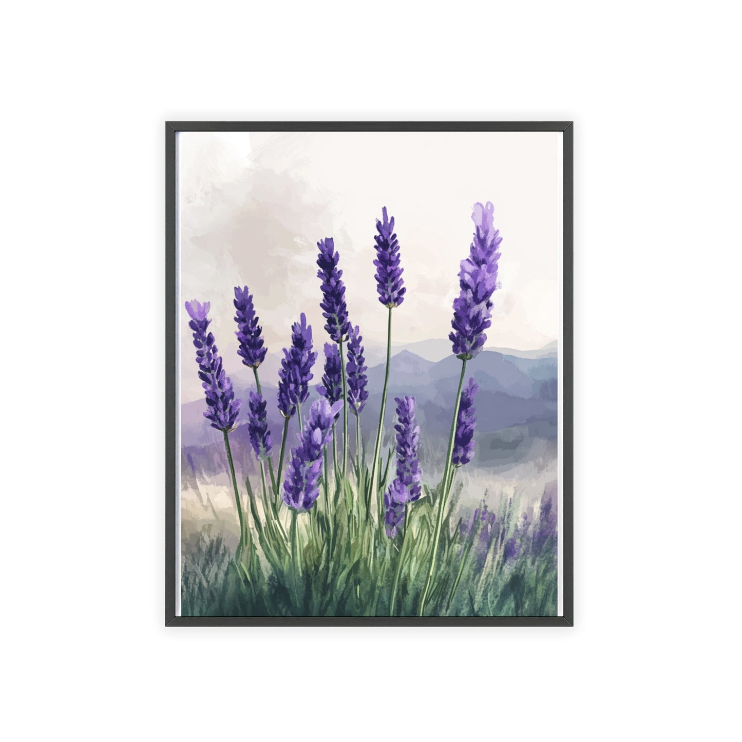 Lavendelblüten in der Wiese