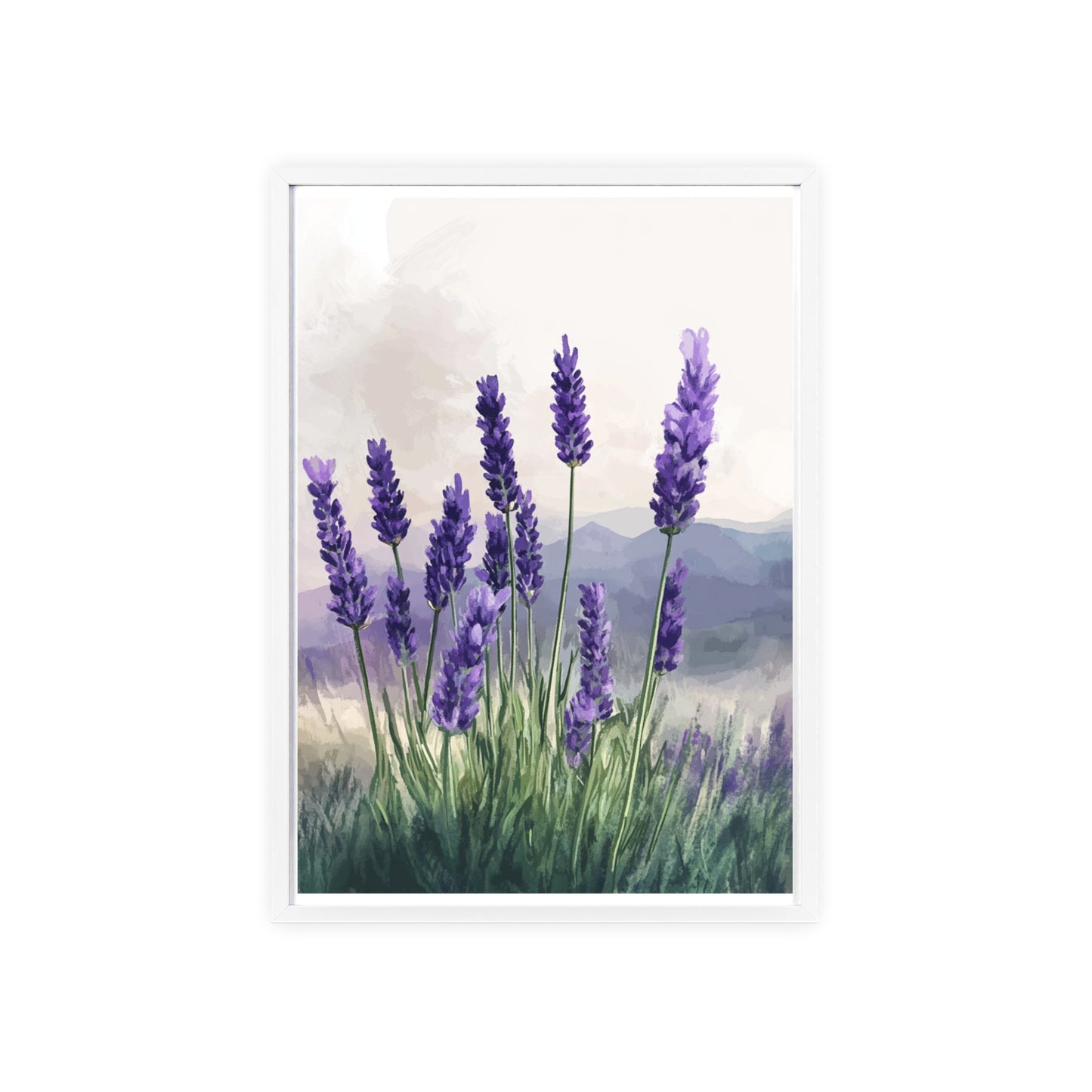 Lavendelblüten in der Wiese