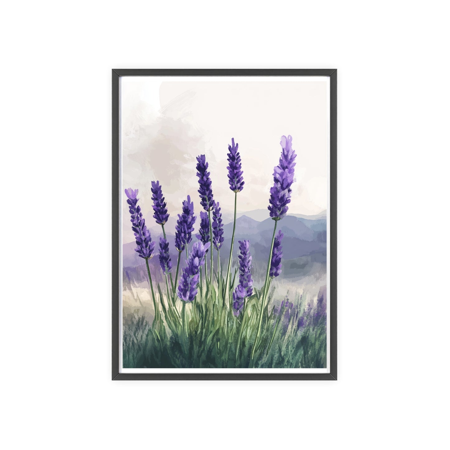 Lavendelblüten in der Wiese