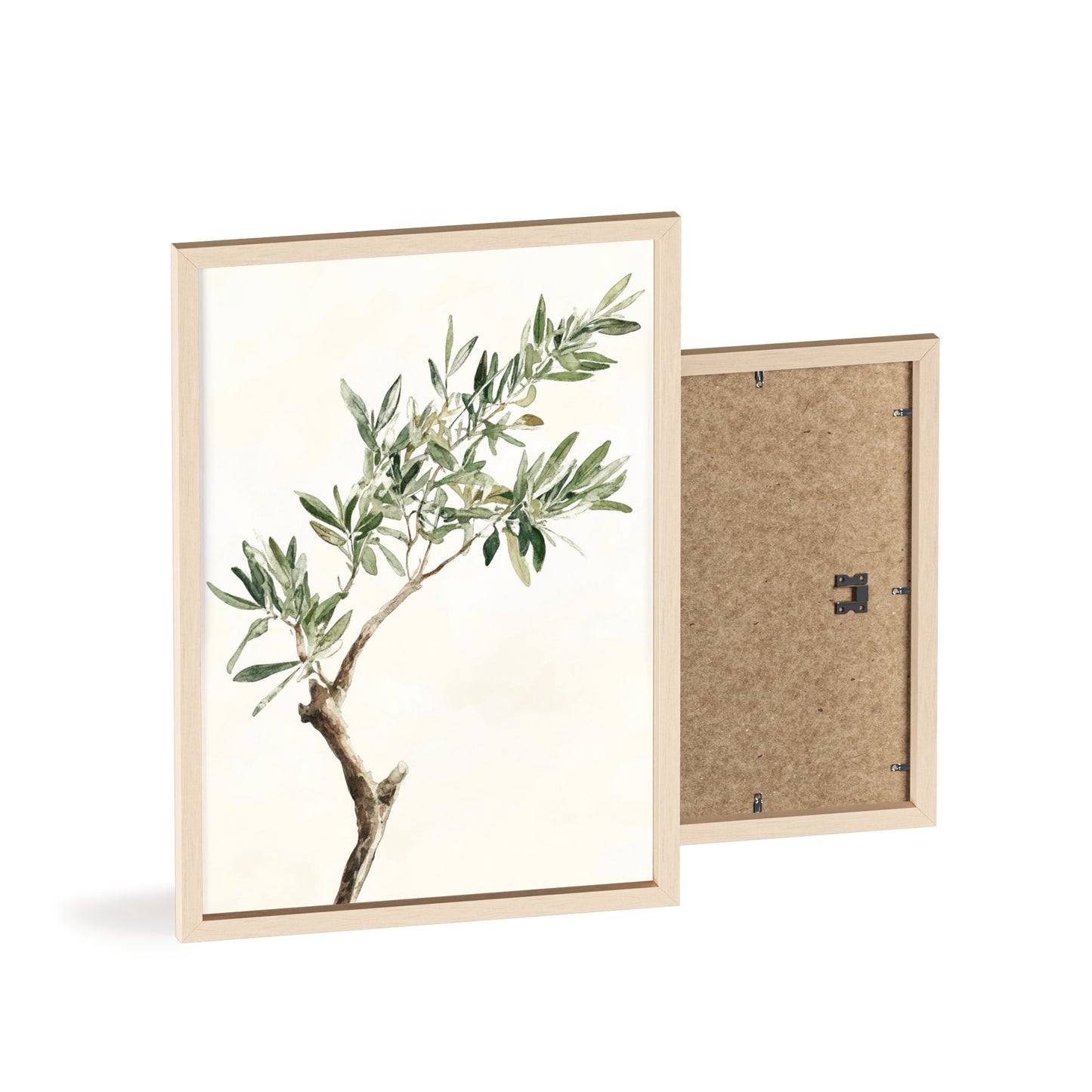 Schlichter Olivenzweig