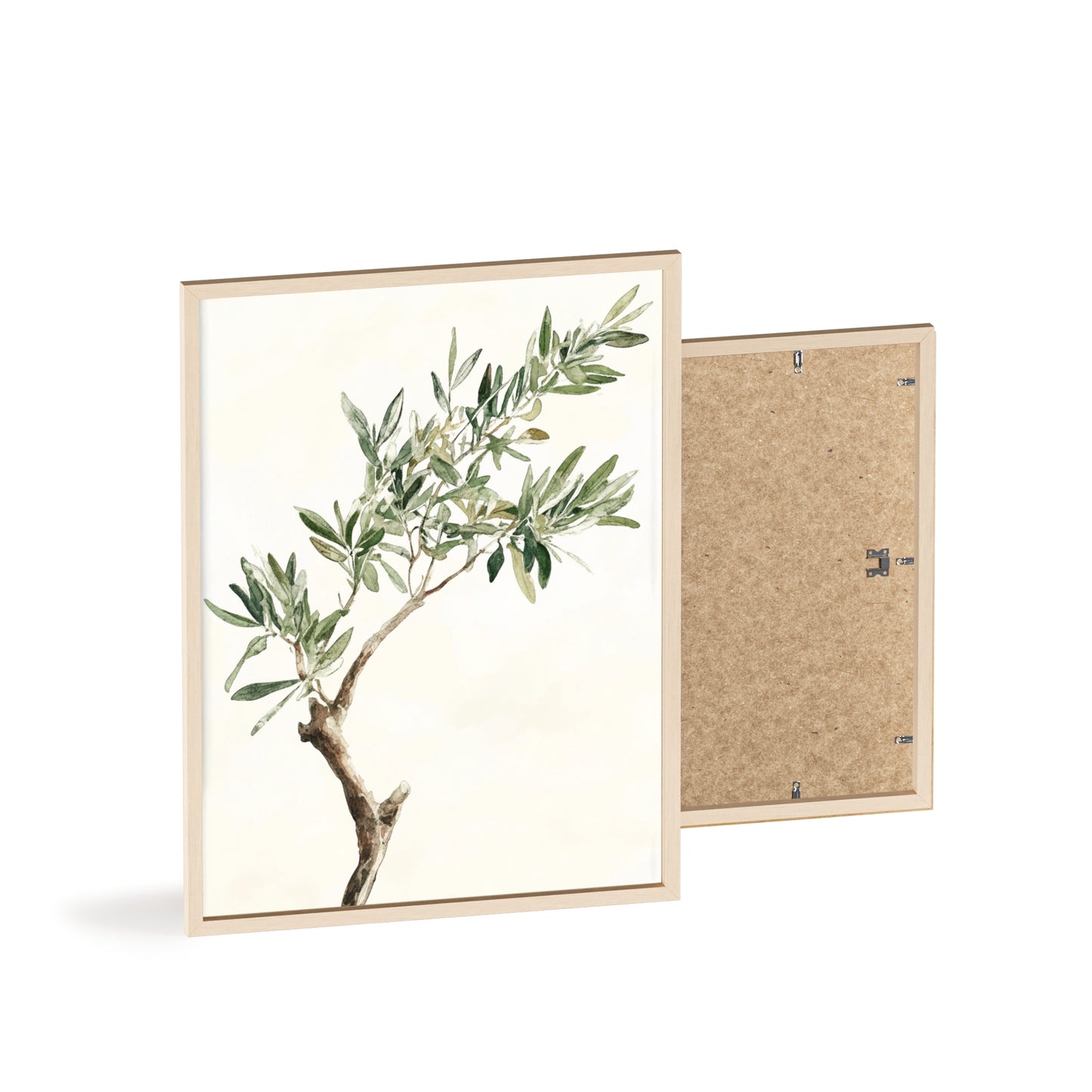 Schlichter Olivenzweig