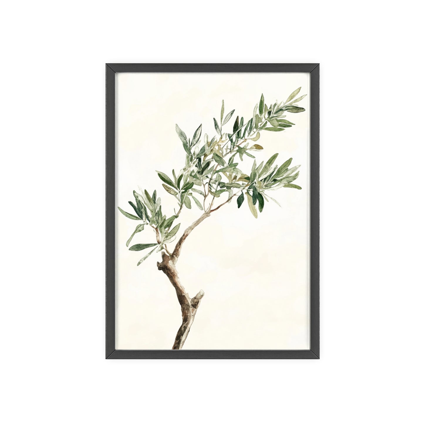 Schlichter Olivenzweig