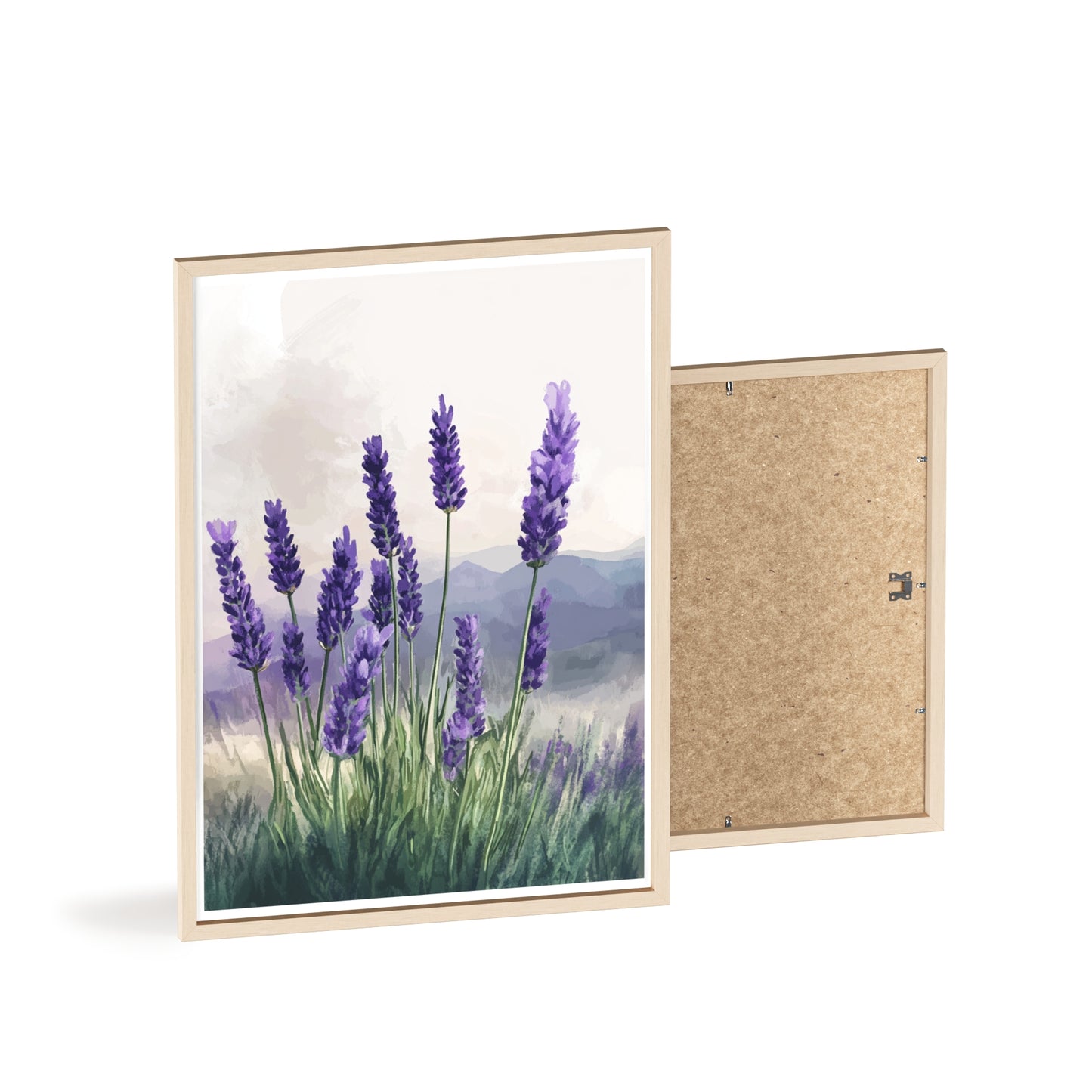 Lavendelblüten in der Wiese