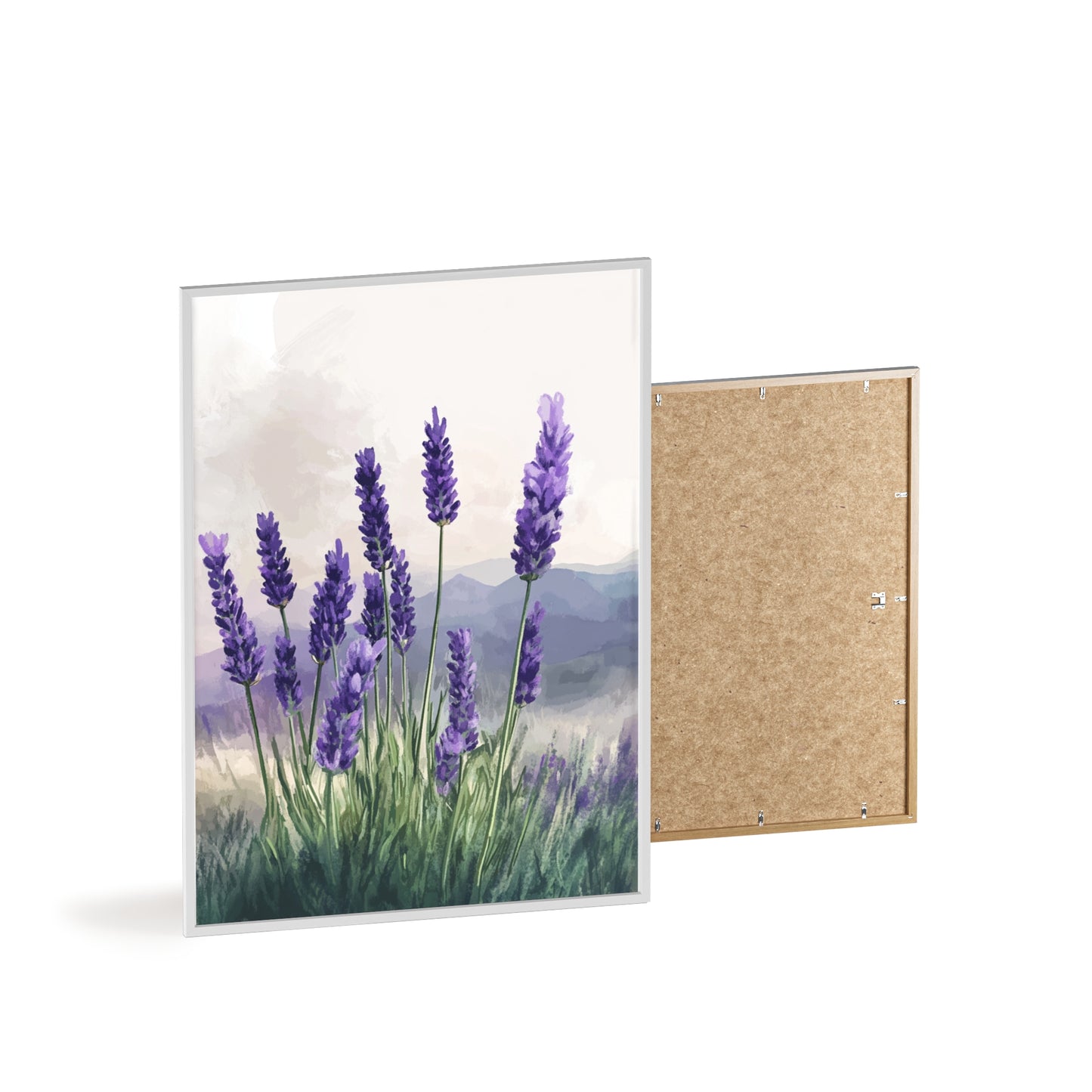 Lavendelblüten in der Wiese