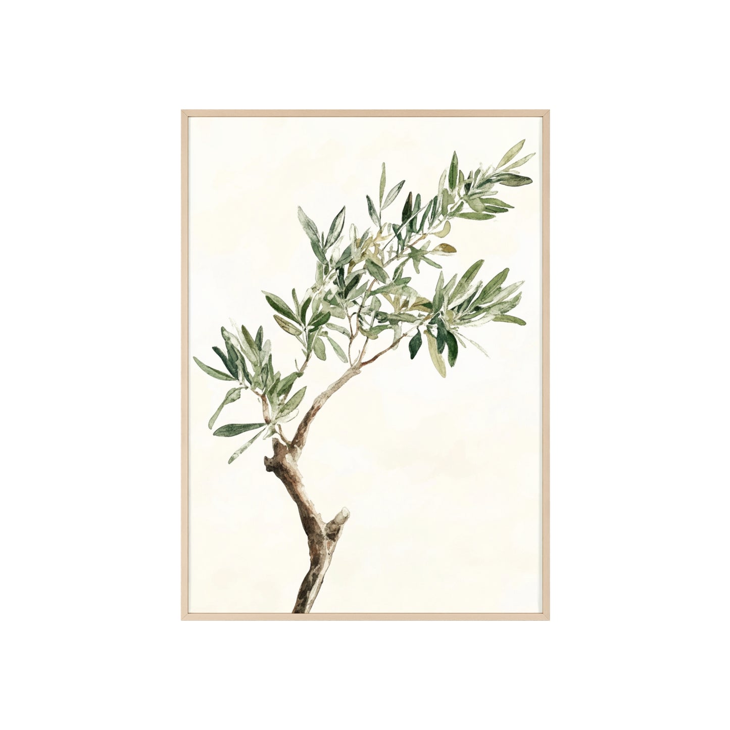 Schlichter Olivenzweig