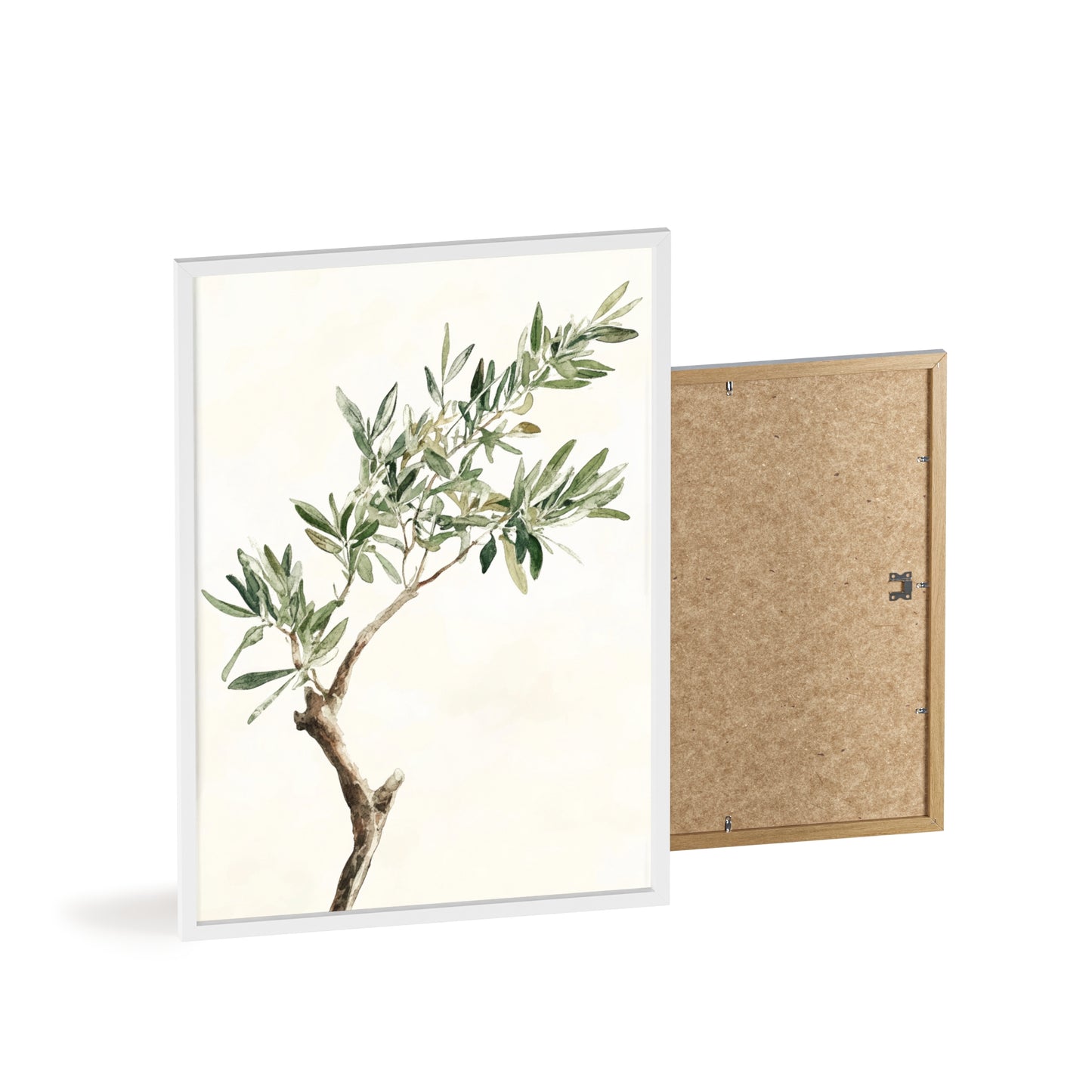 Schlichter Olivenzweig