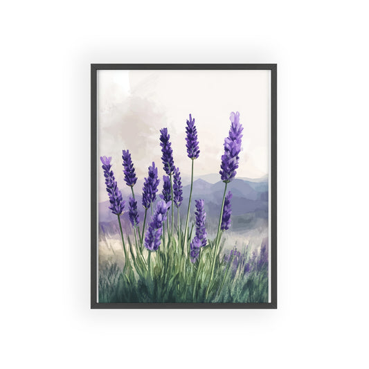 Lavendelblüten in der Wiese