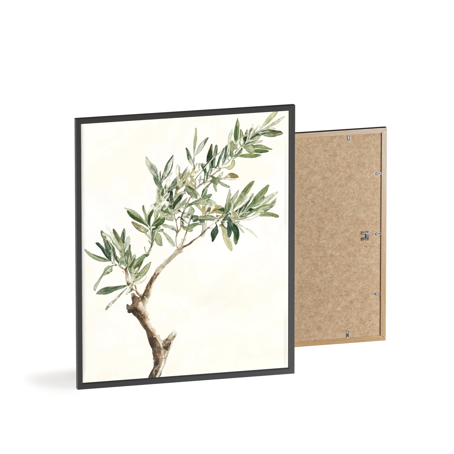 Schlichter Olivenzweig