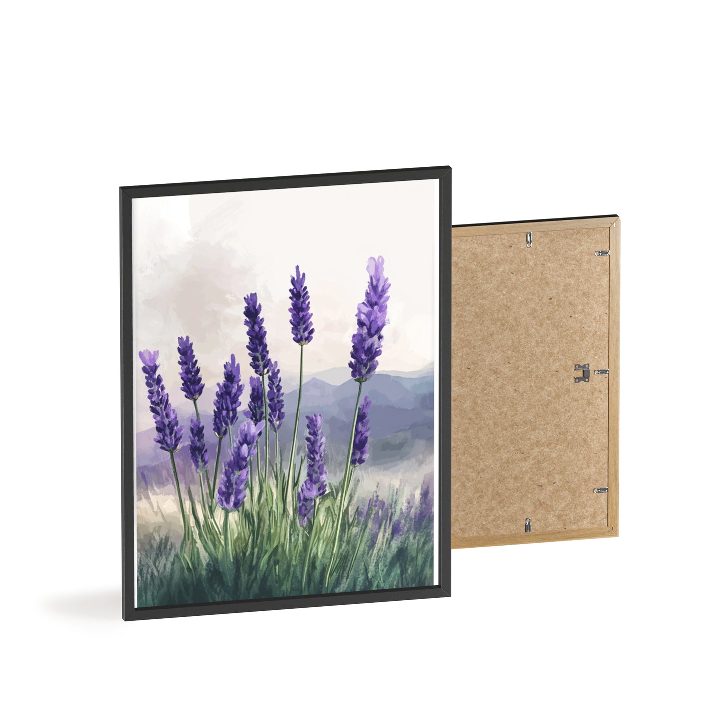 Lavendelblüten in der Wiese