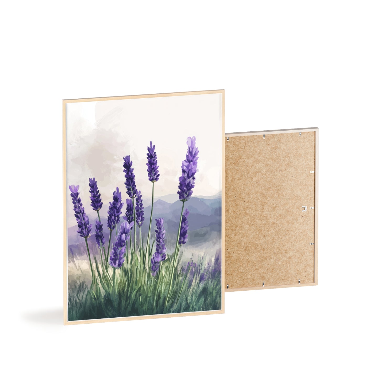 Lavendelblüten in der Wiese